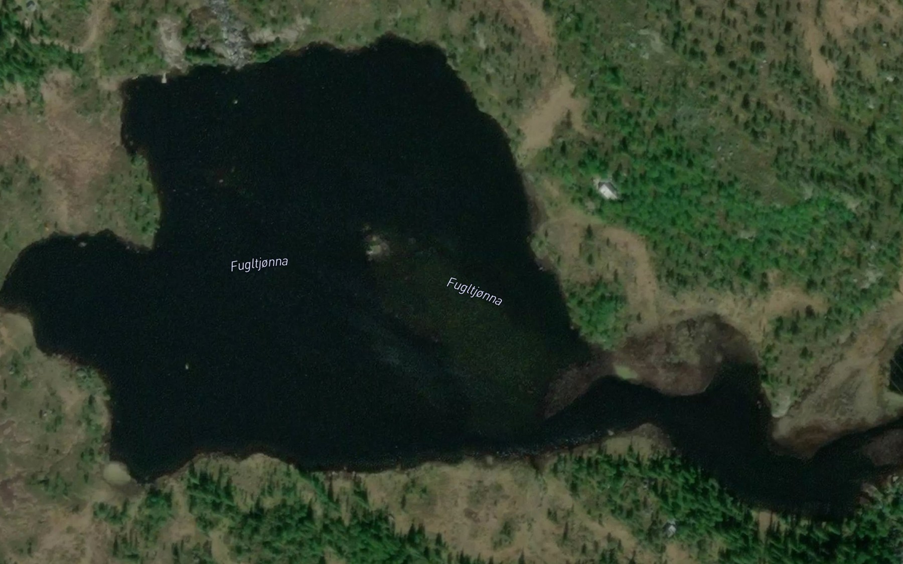 Satellite map of the Fugltjorna