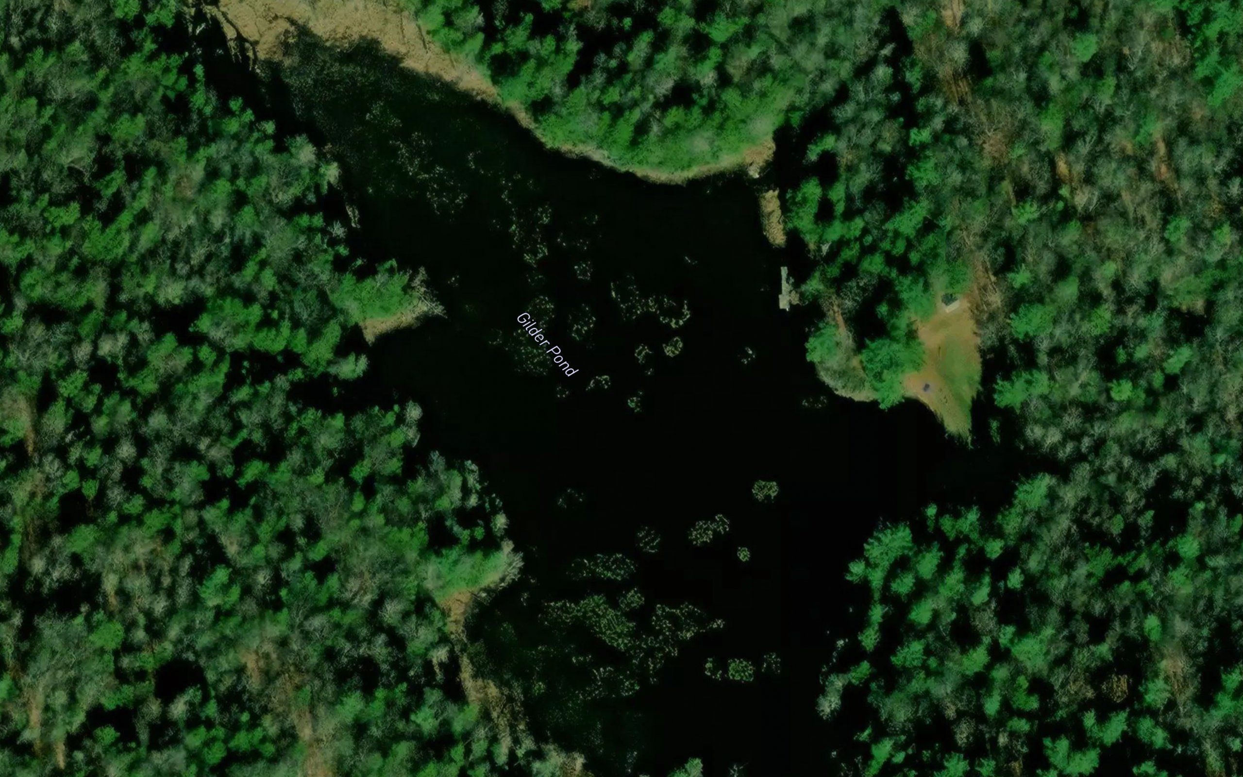Gilder Pond
