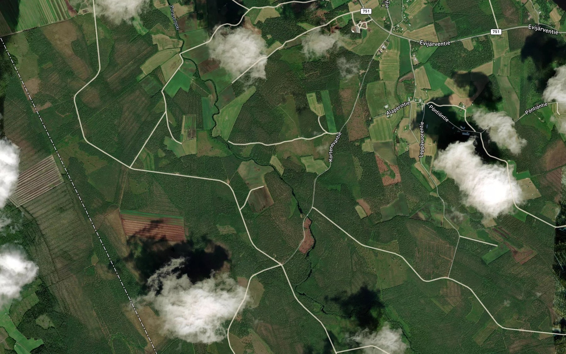 Satellite map of the Pesuoja