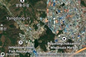Yangdongsoryuji
