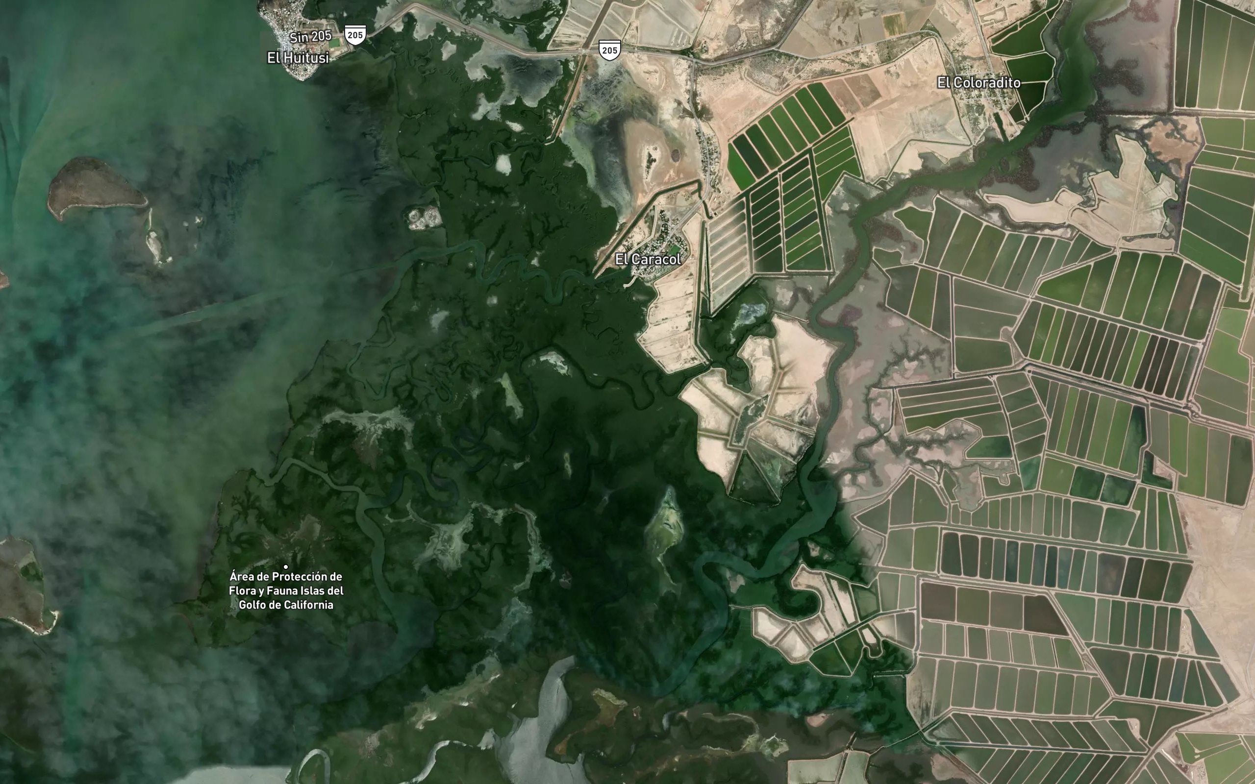 Estero el Tubo