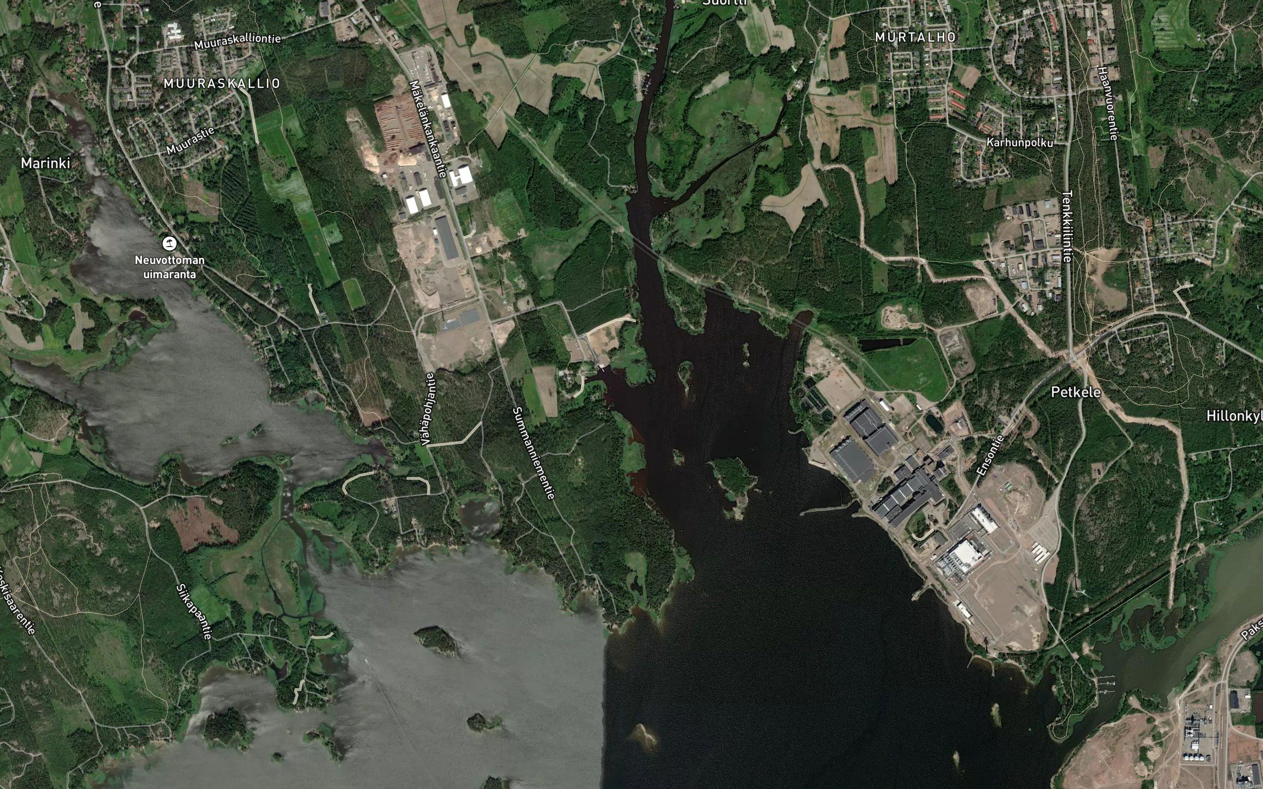 Meitaviikki
