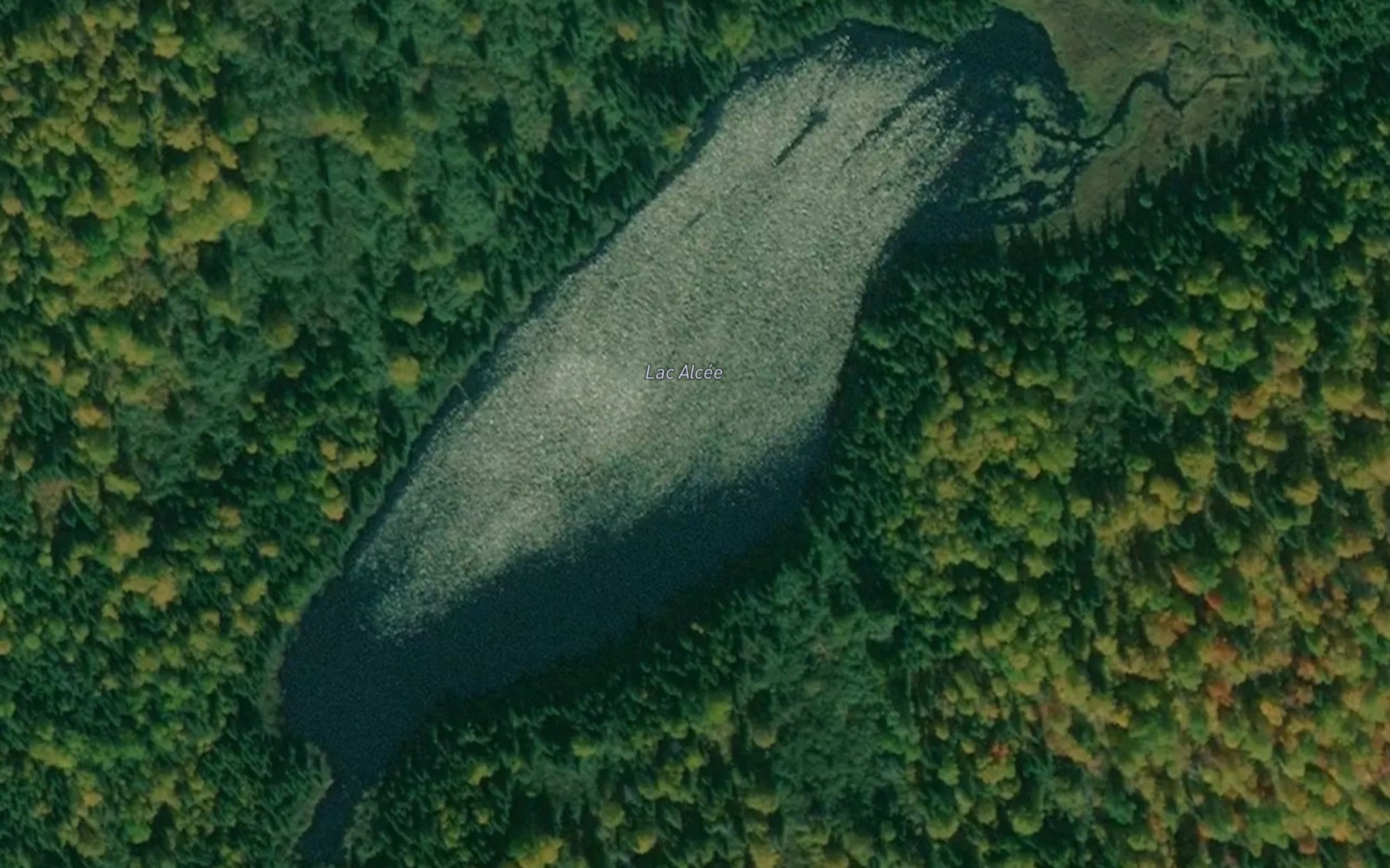 Satellite map of the Lac Alcee