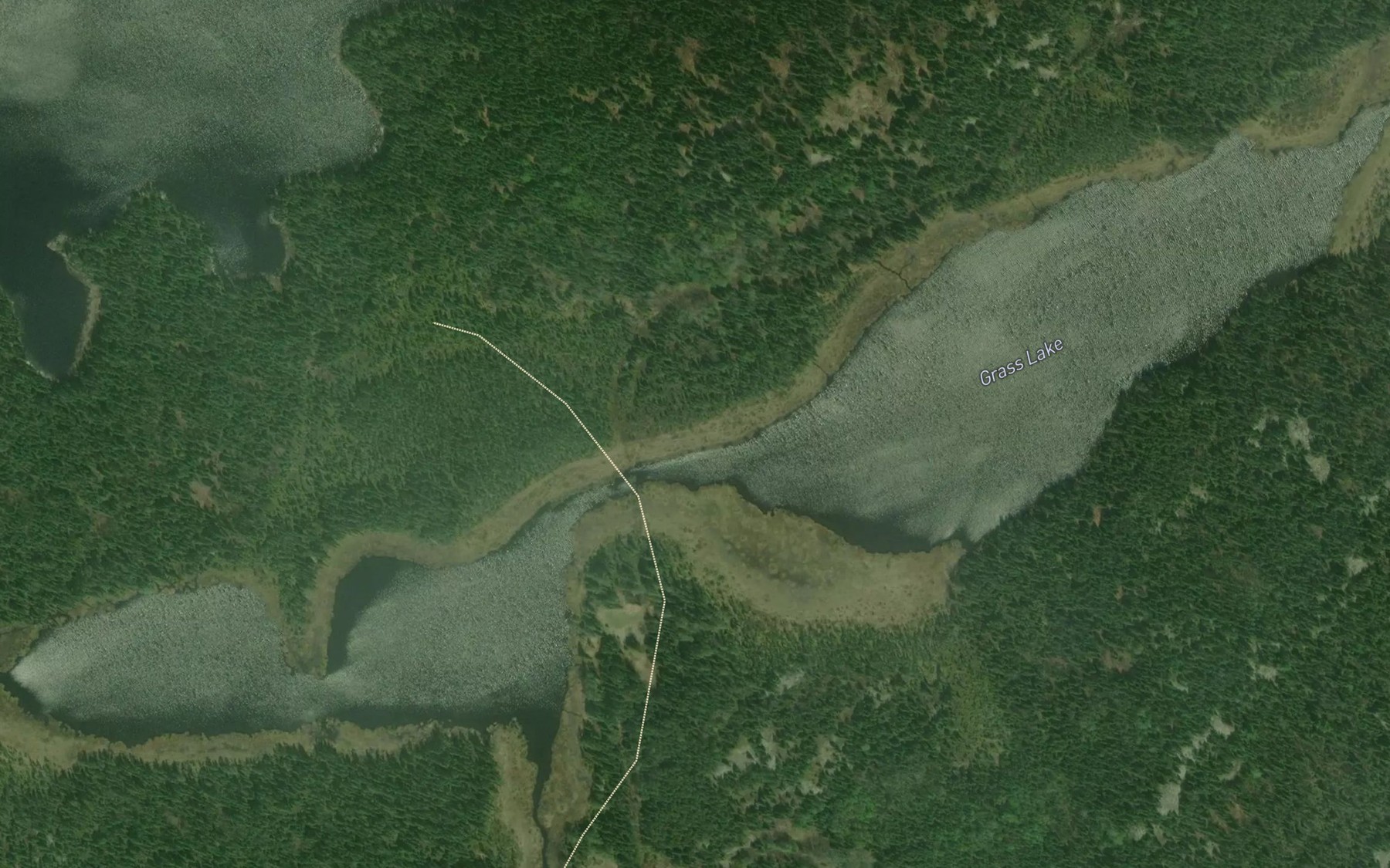 Satellite map of the Grass Lake