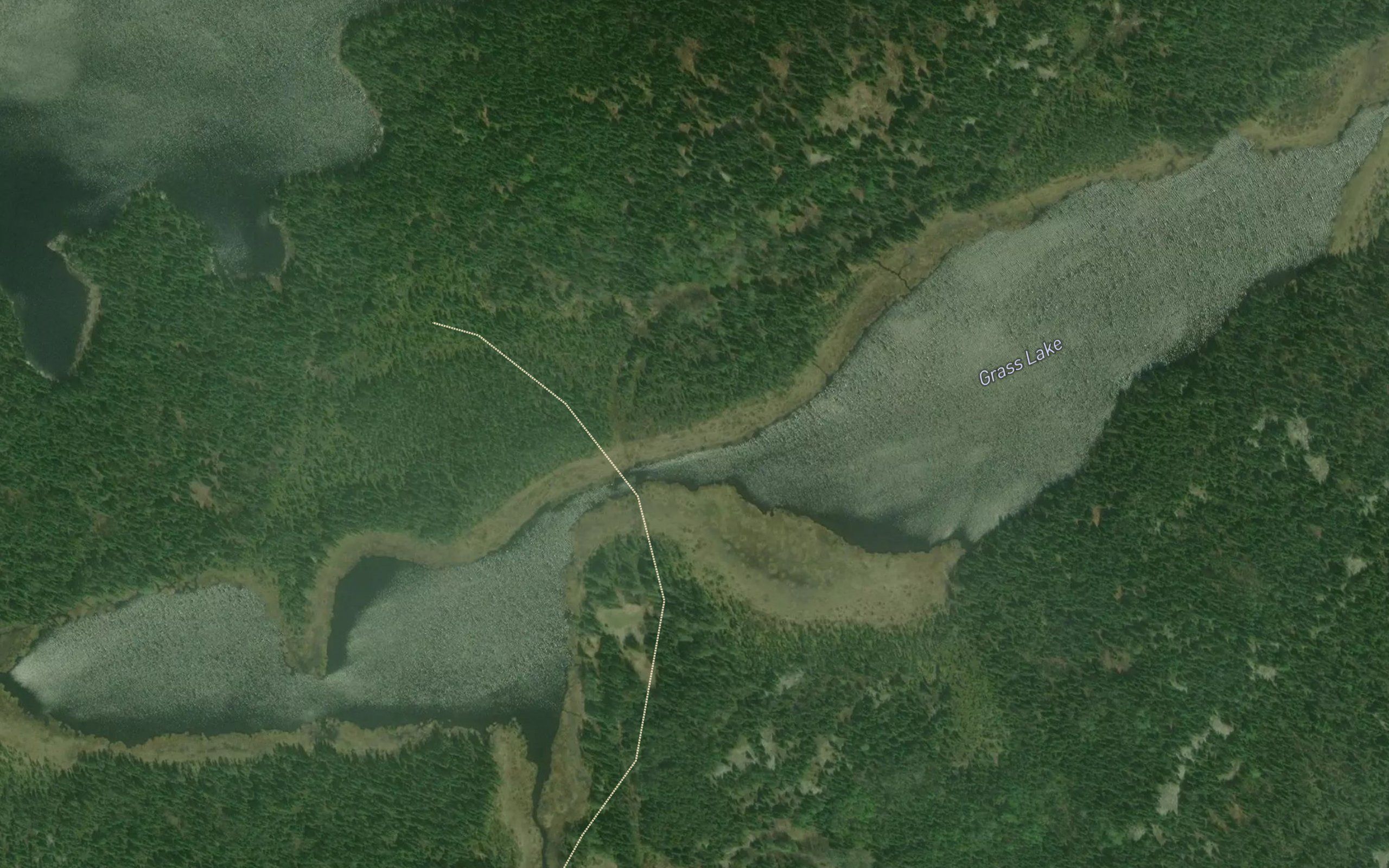 Grass Lake