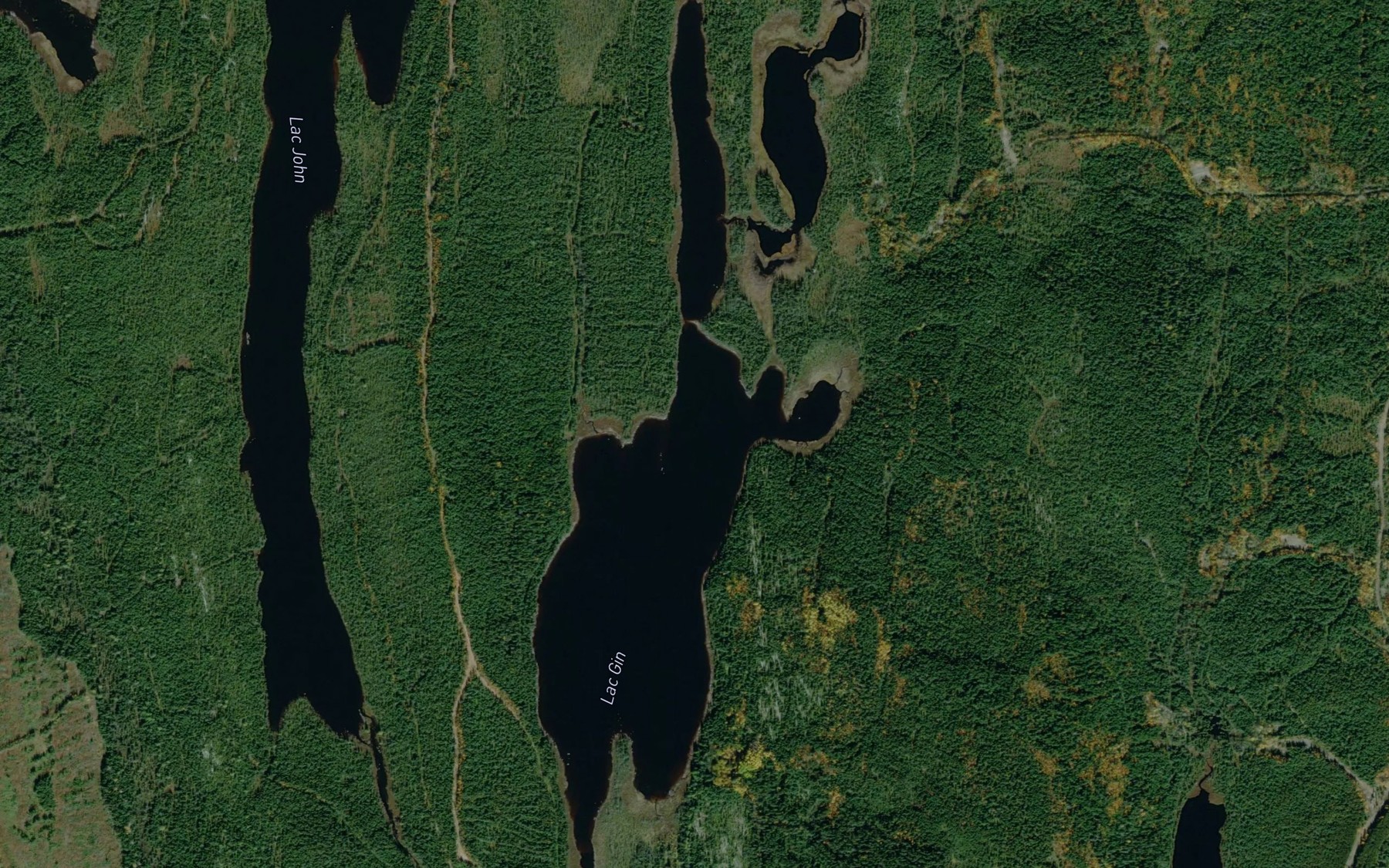 Satellite map of the Lac Gin