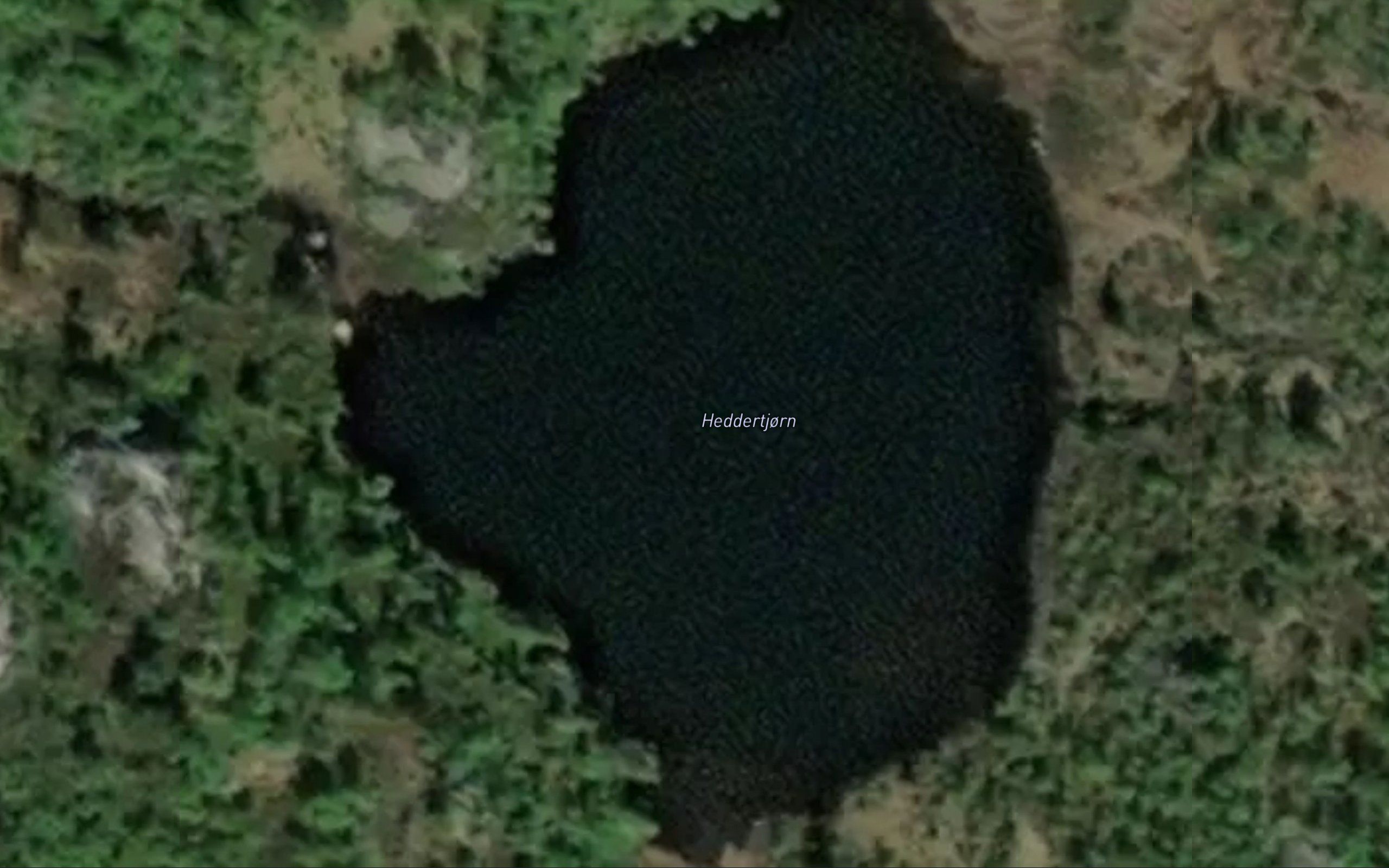 Heddertjorn