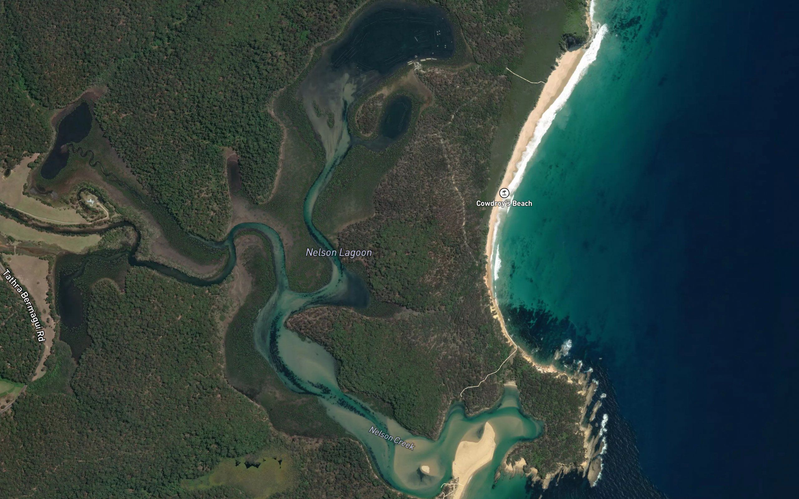 Nelson Lagoon