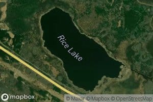 Rice Lake