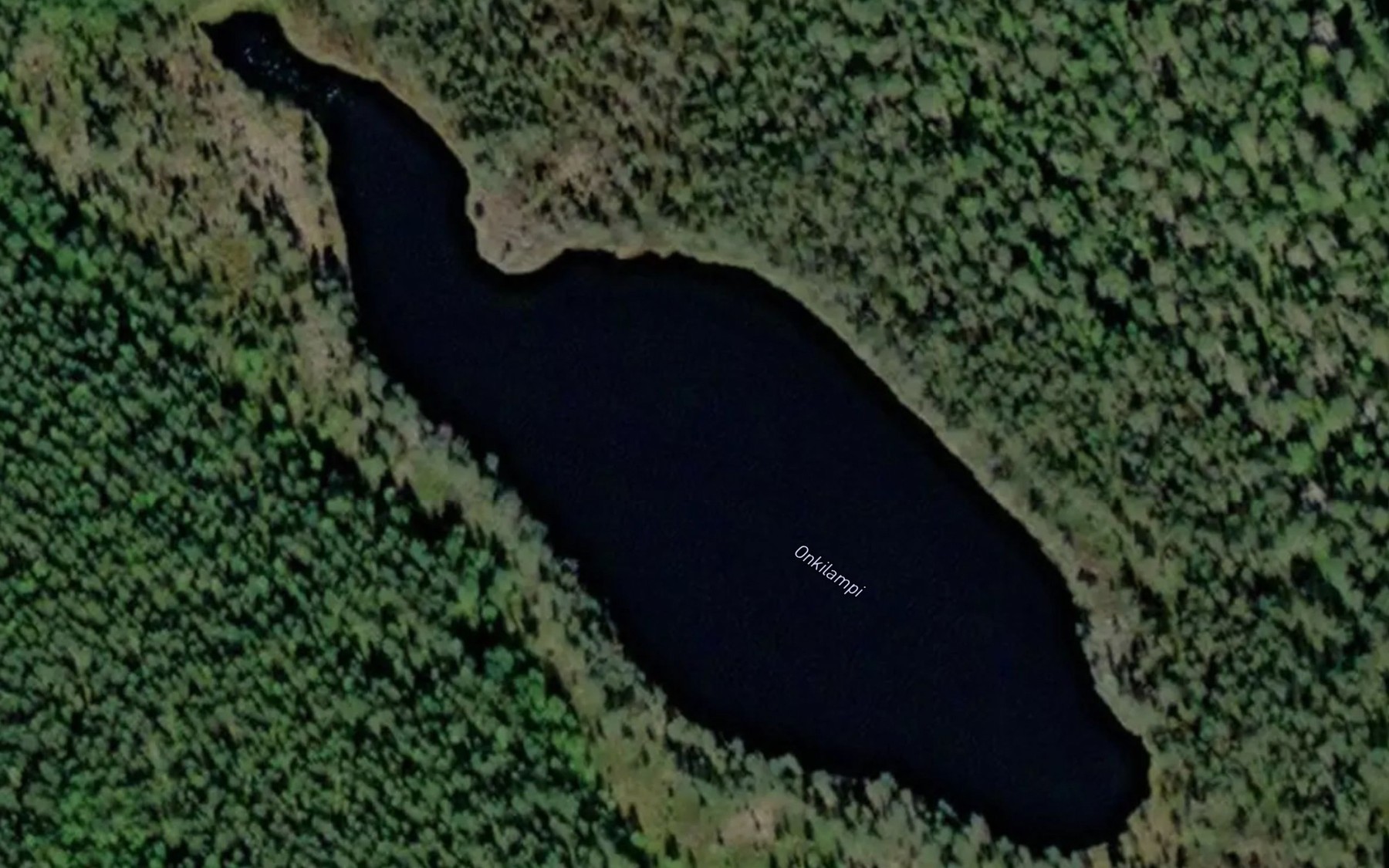 Satellite map of the Onkilampi