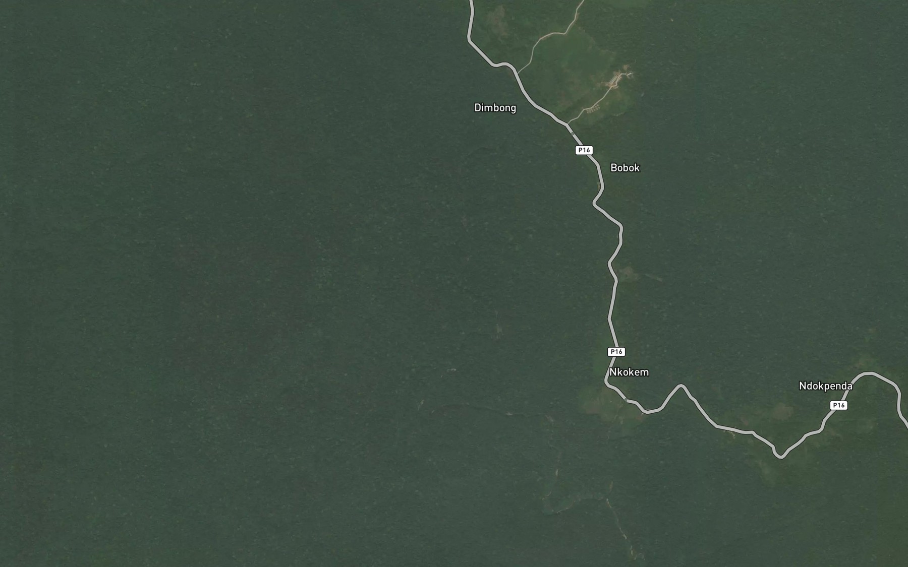 Satellite map of the Bissongo