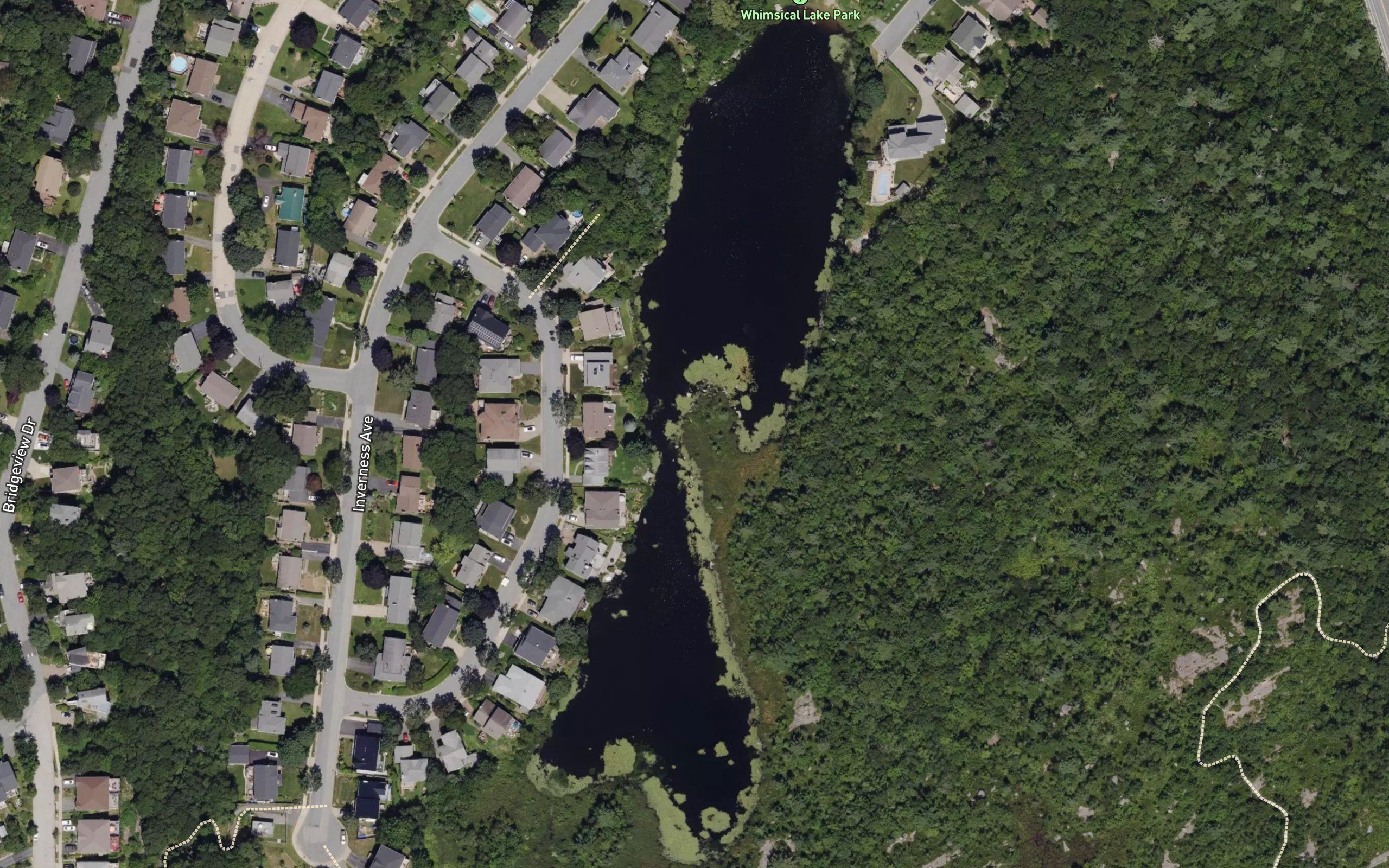 Whimsical Lake