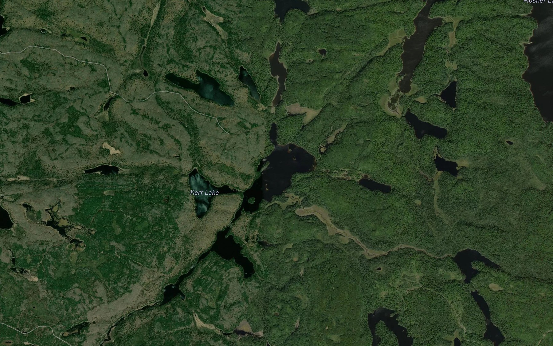 Satellite map of the Davison Lake