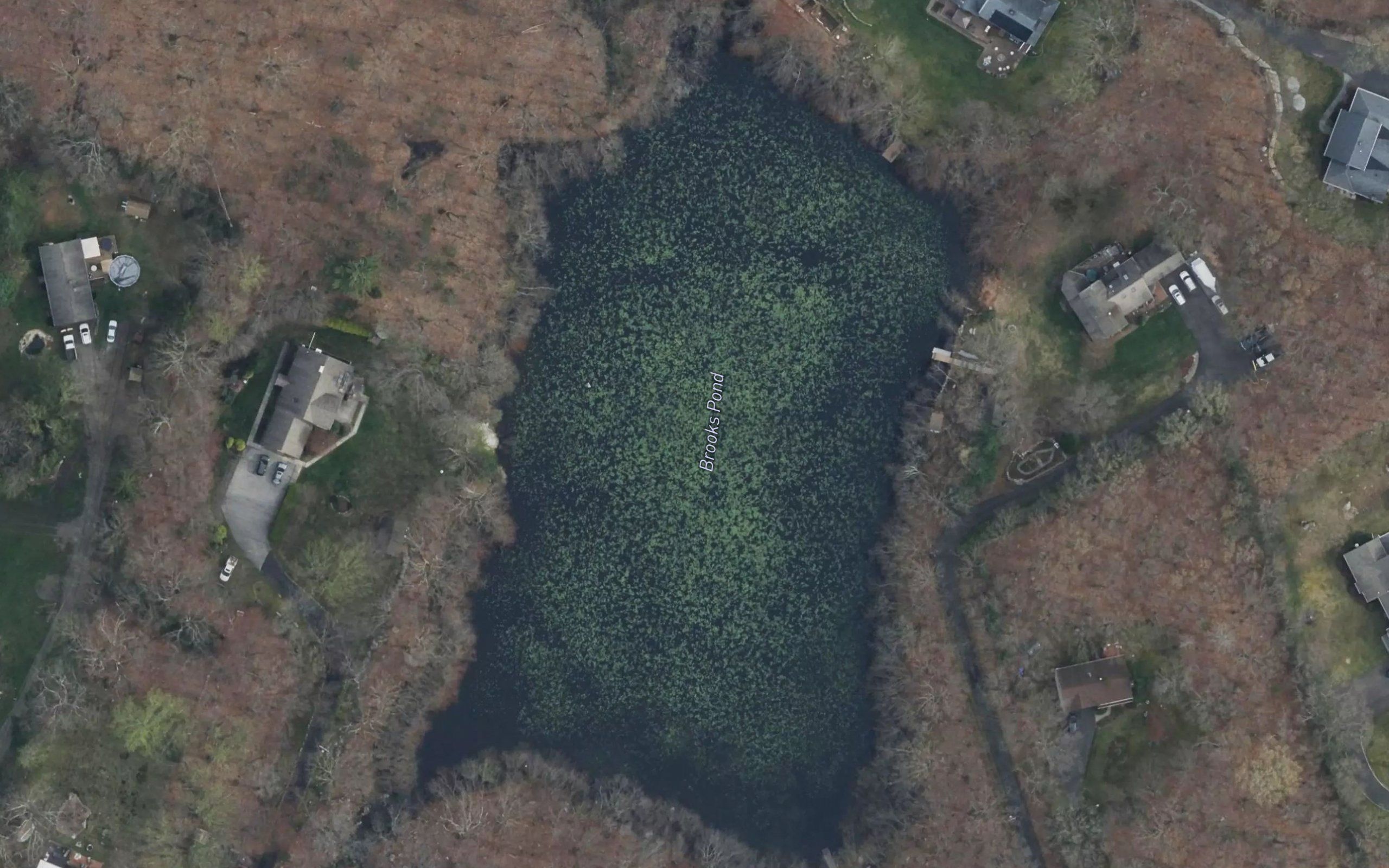Brooks Pond