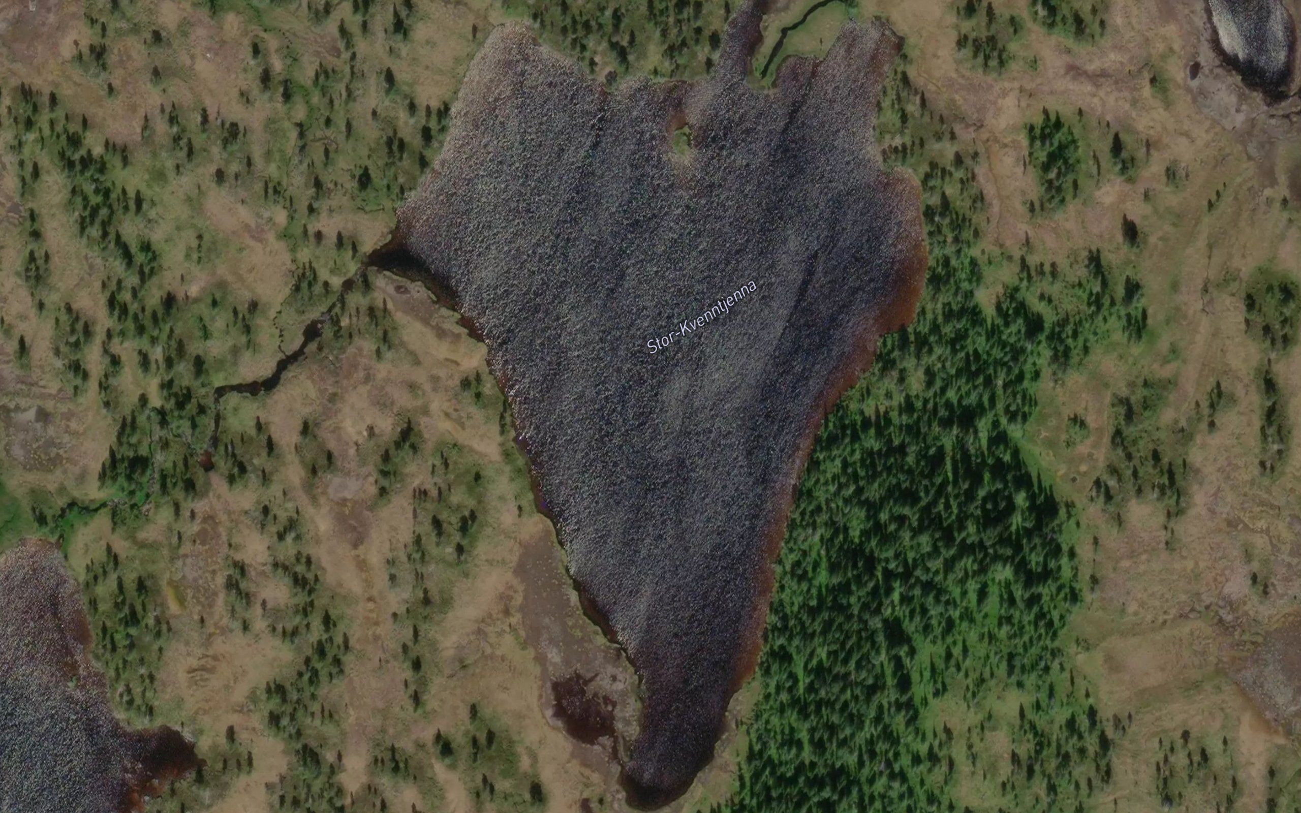 Kverntjorna