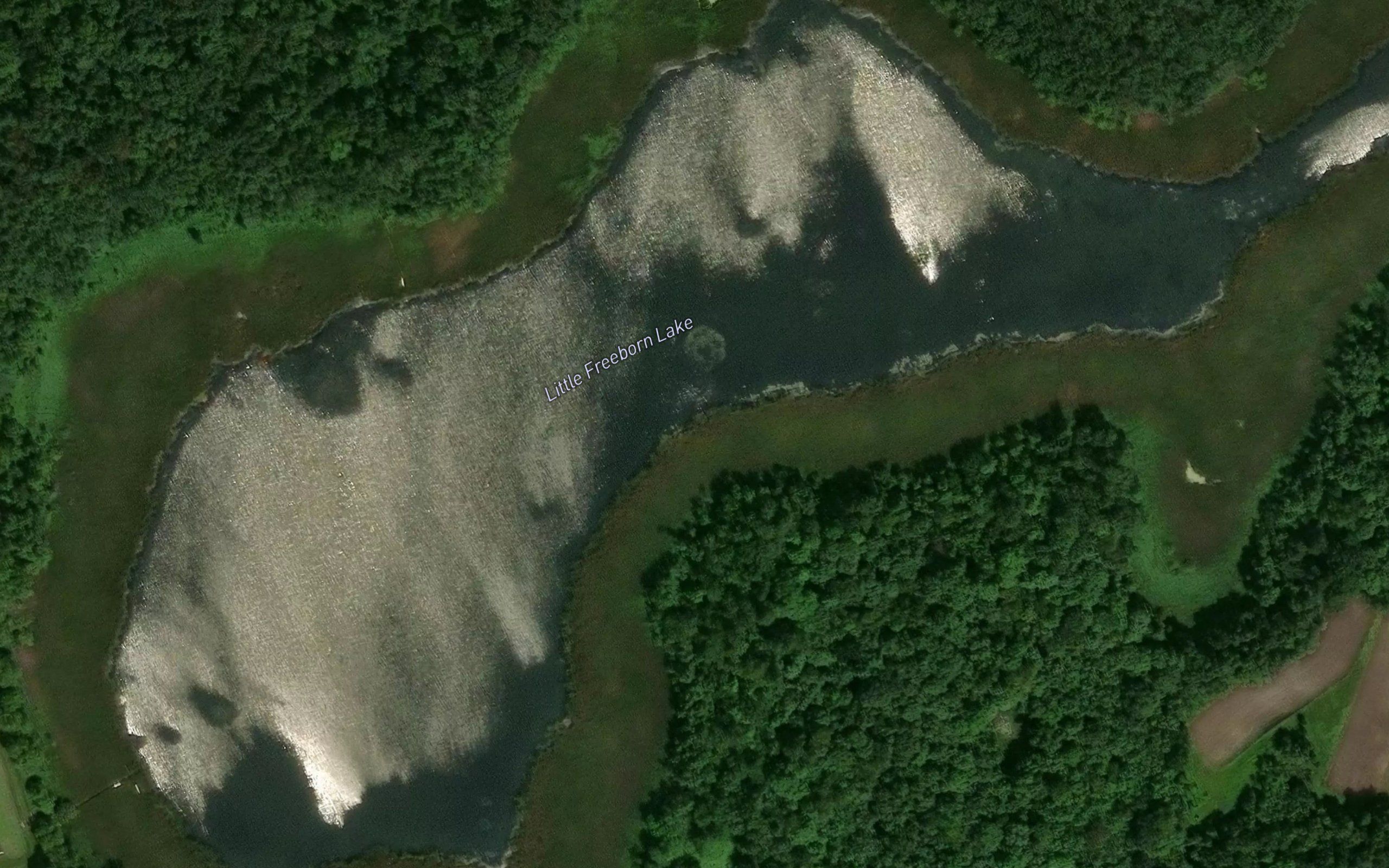 Little Freeborn Lake