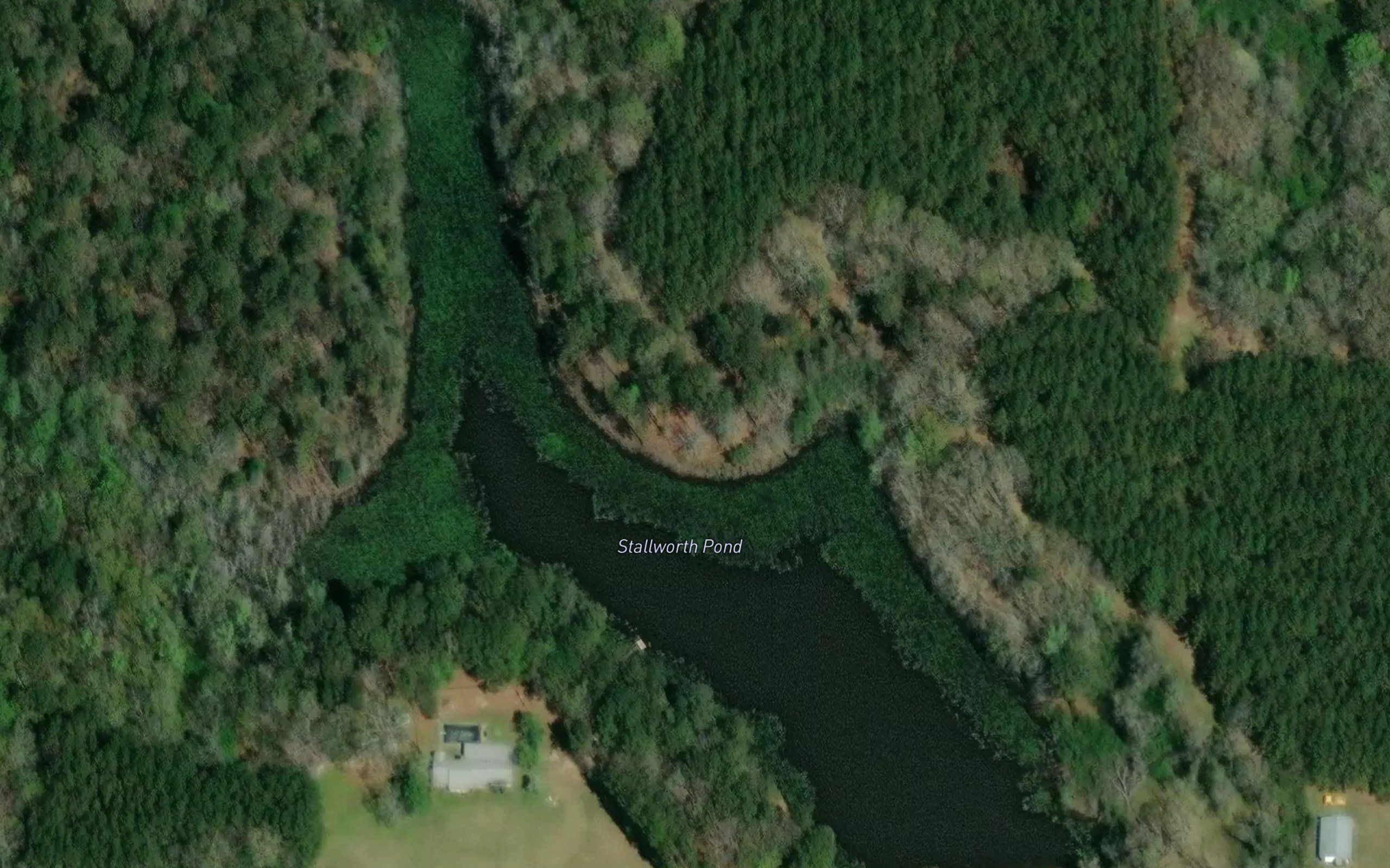 Stallworth Pond
