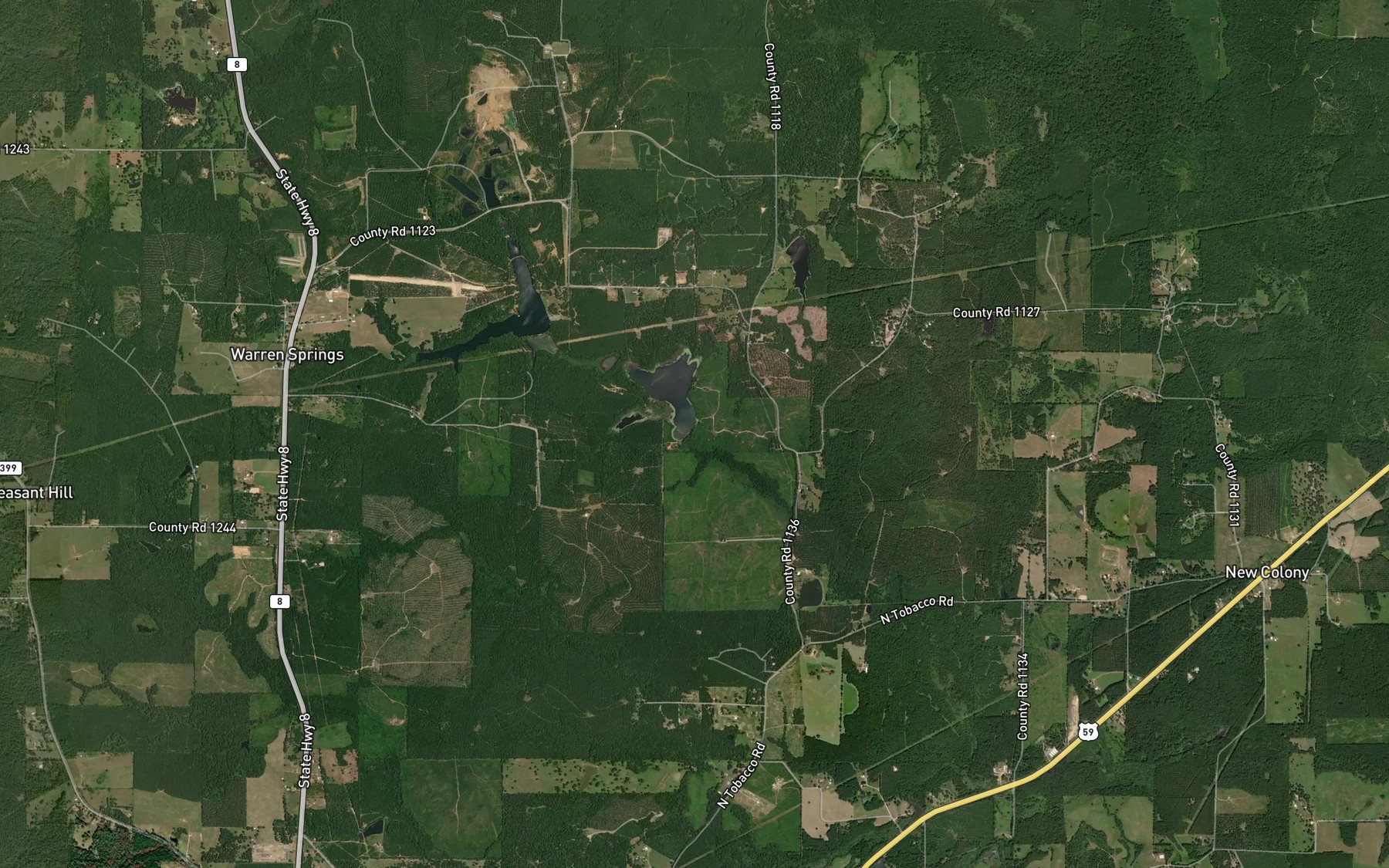 Satellite map of the Foreman Lake