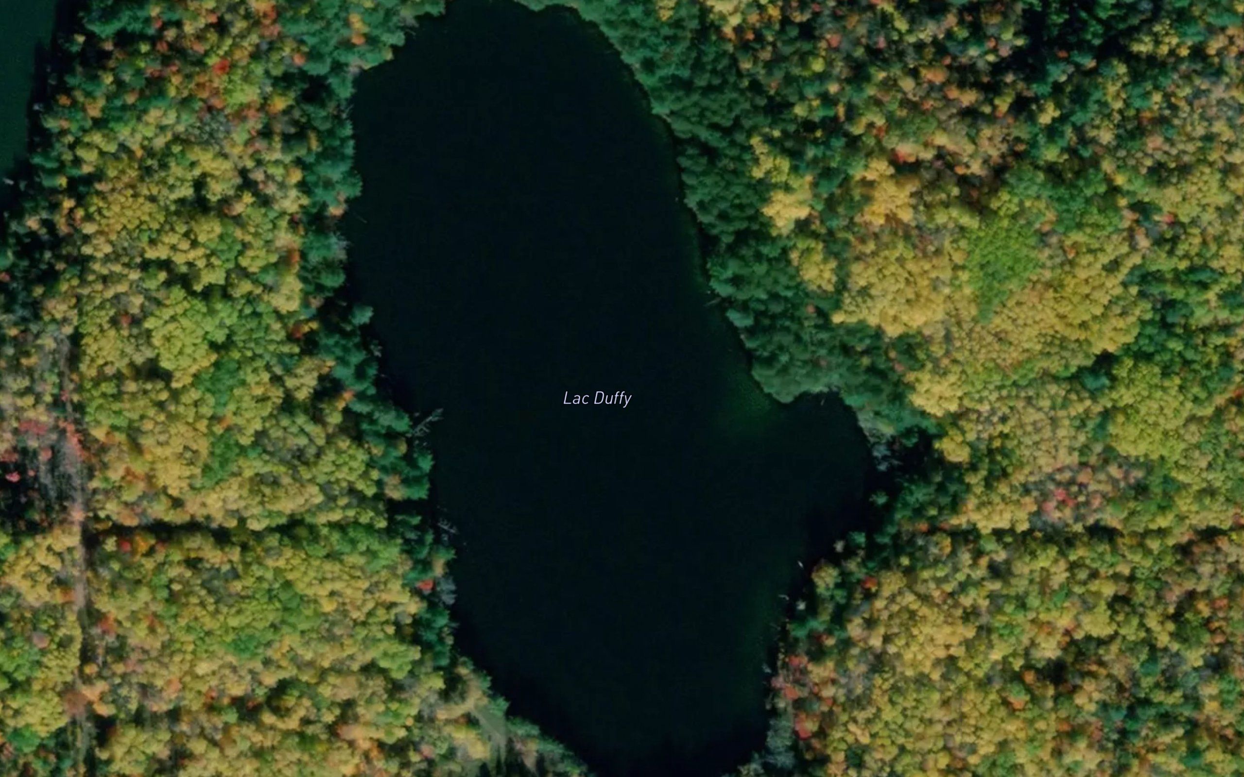 Lac Duffy