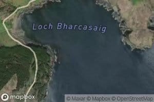 Loch Bharcasaid