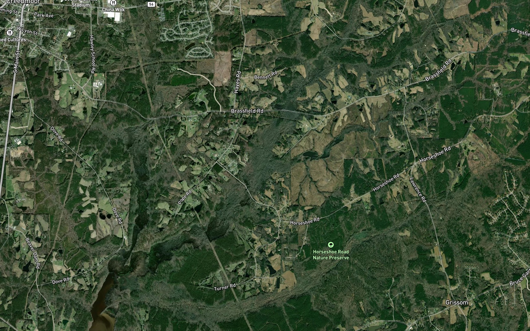 Satellite map of the Reedy Branch