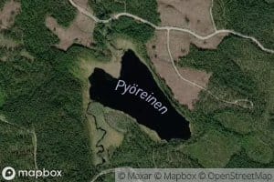 Pyoreinen