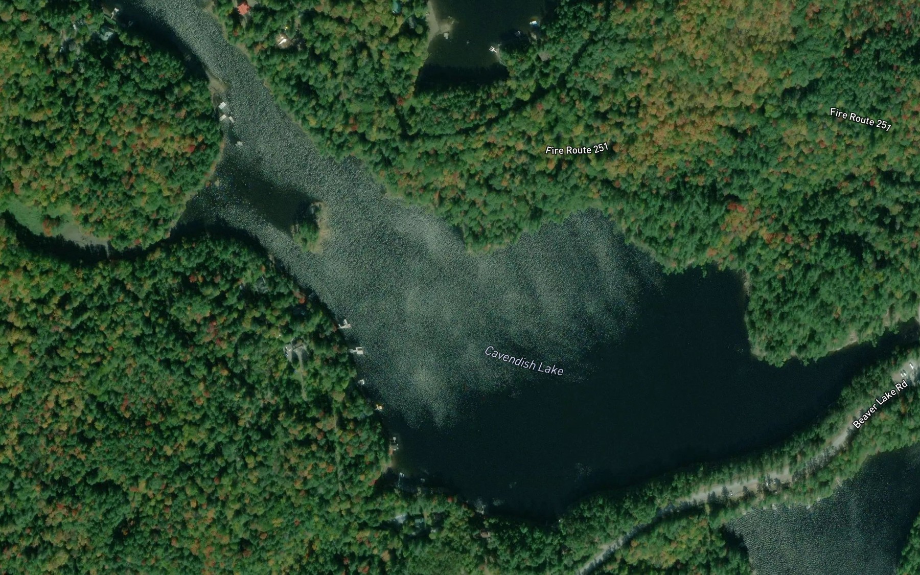 Satellite map of the Cavendish Lake