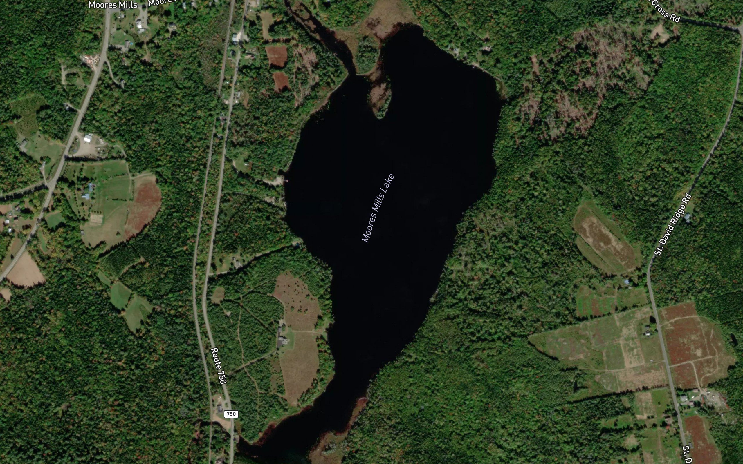 Moores Mills Lake