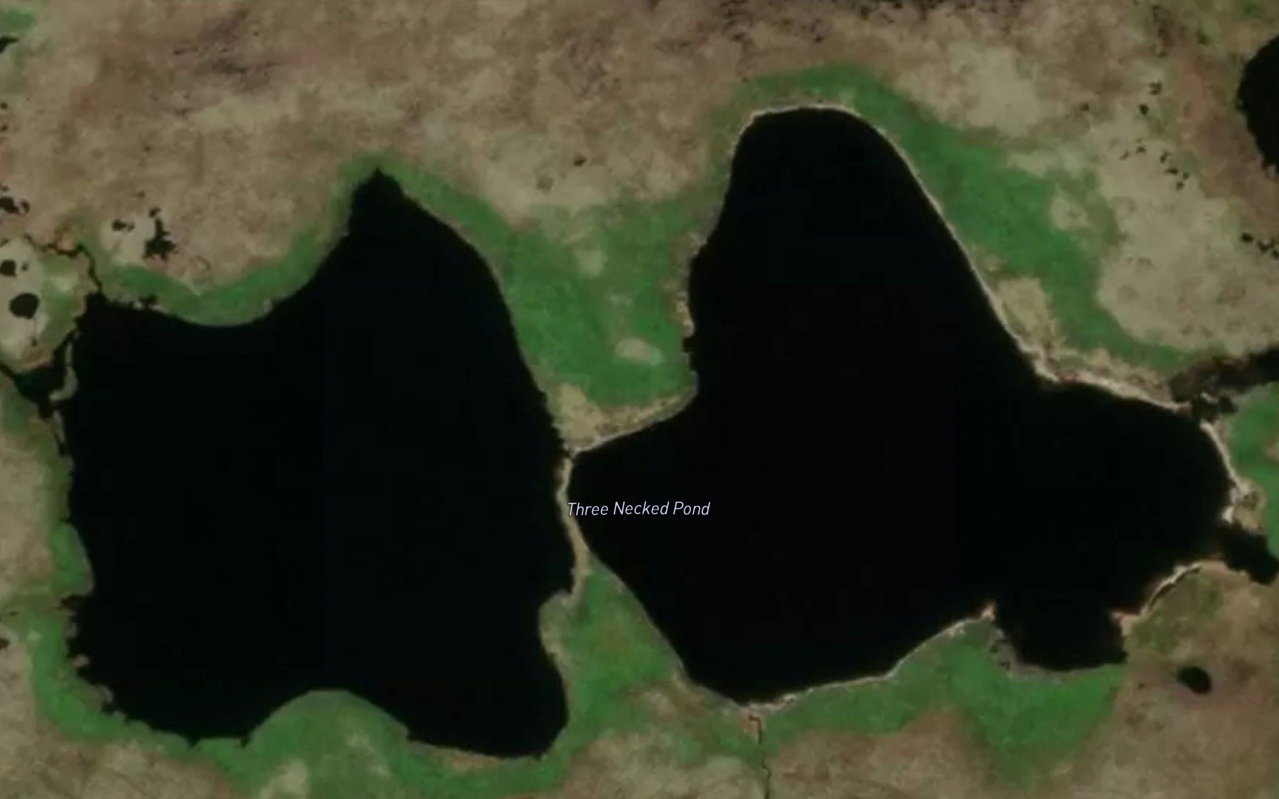 Three Necked Pond