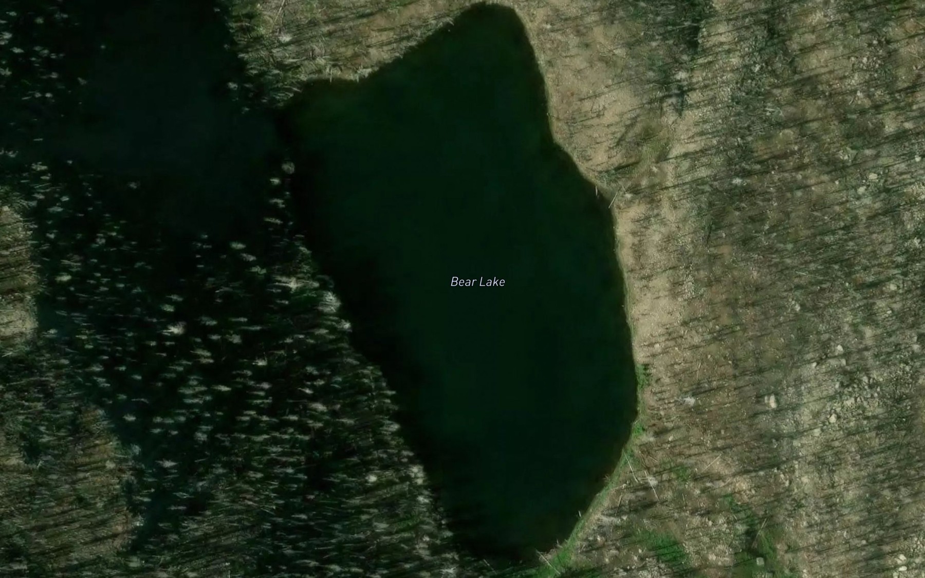 Satellite map of the Bear Lake