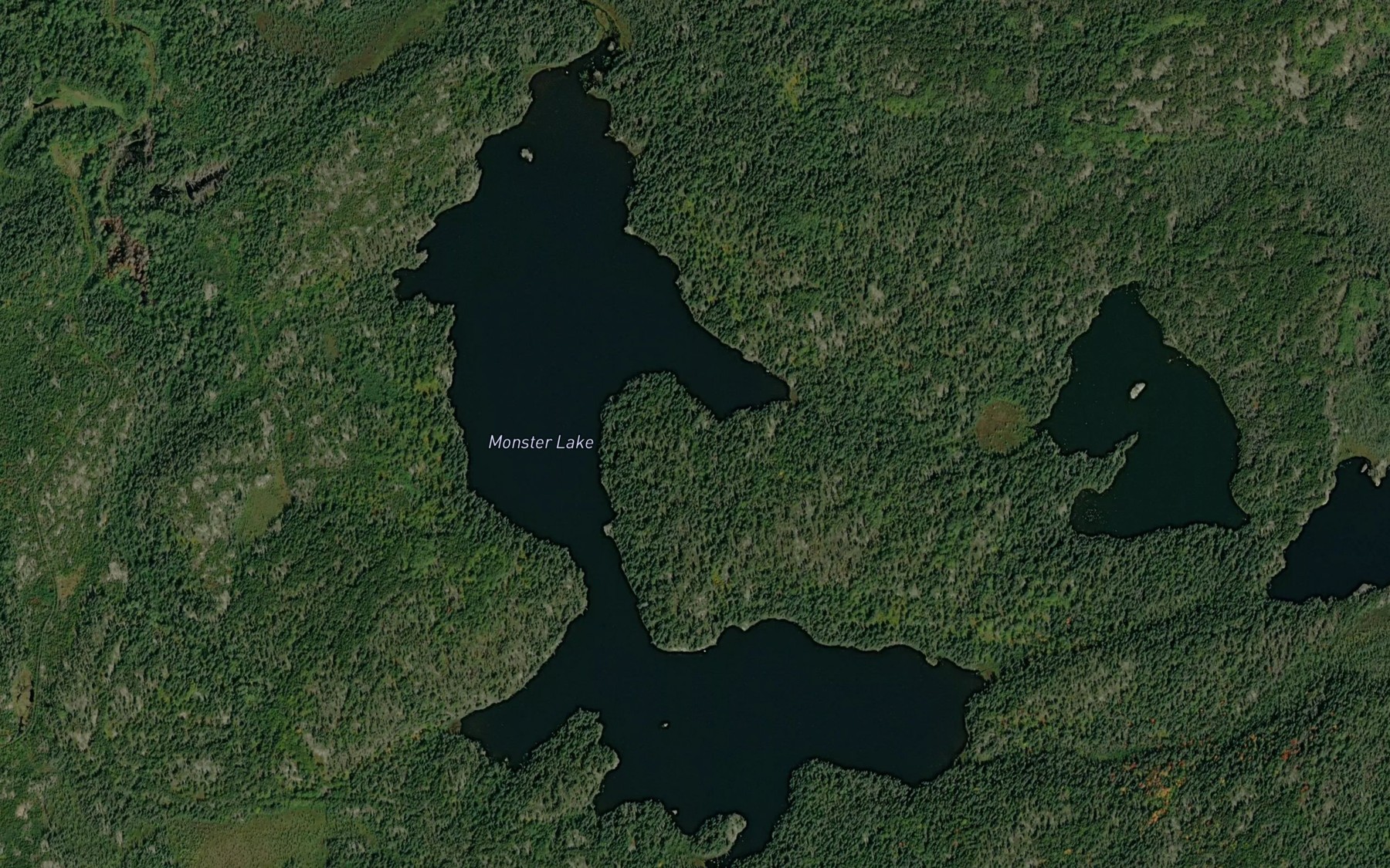 Satellite map of the Monster Lake