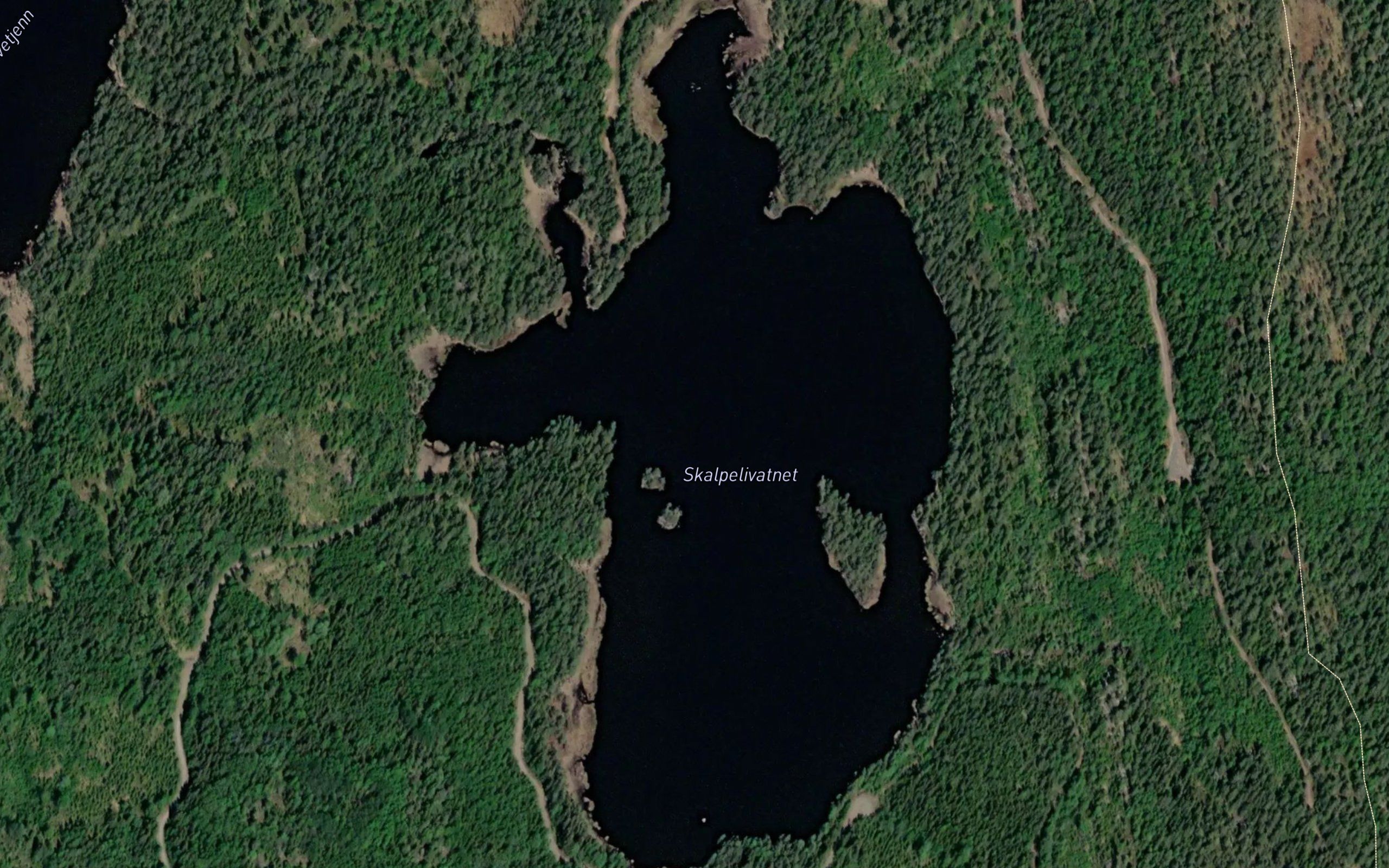 Skalpelivatnet