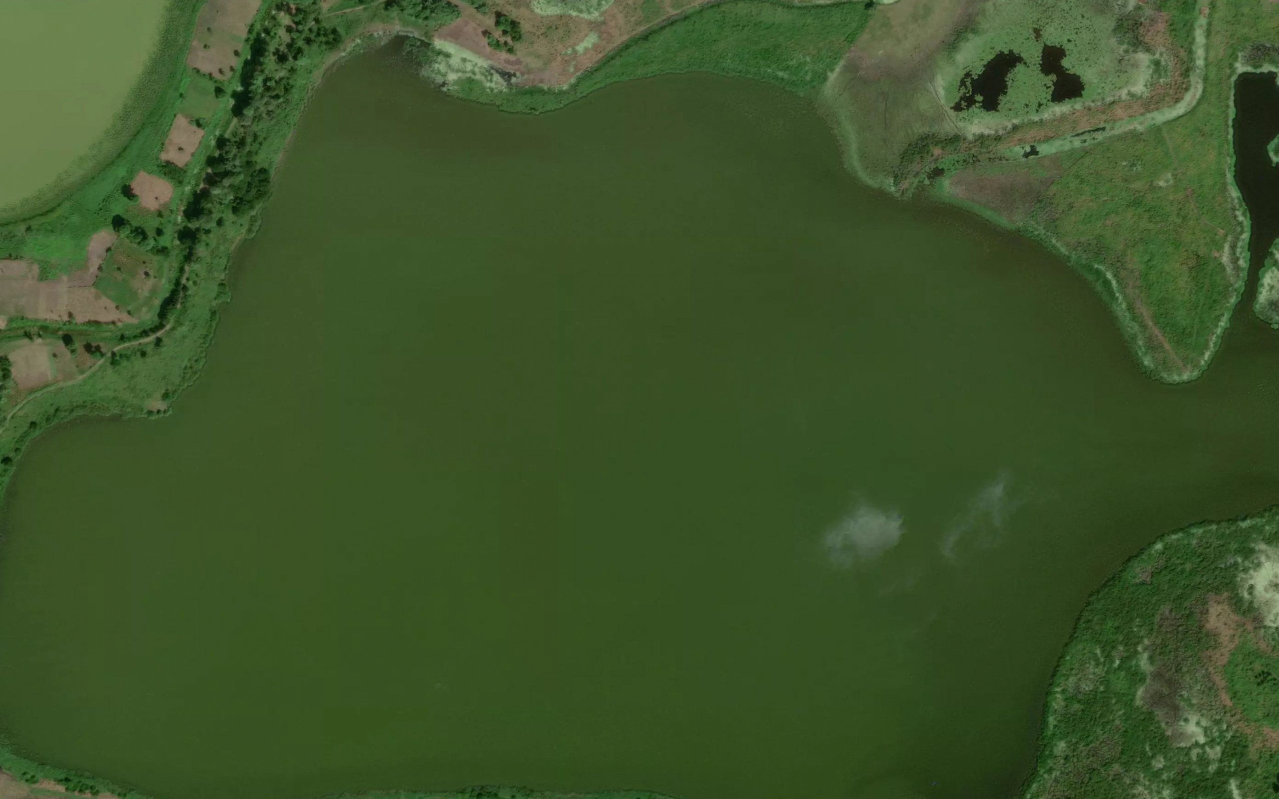 Laguna Maculiz