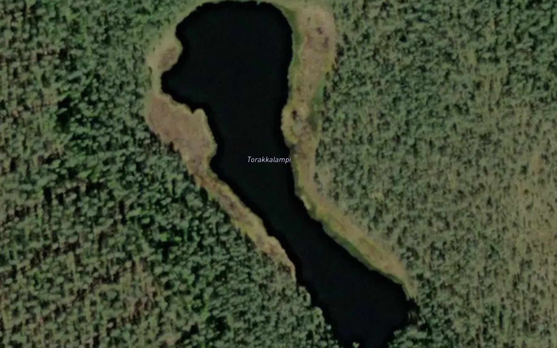 Satellite map of the Torakkalampi