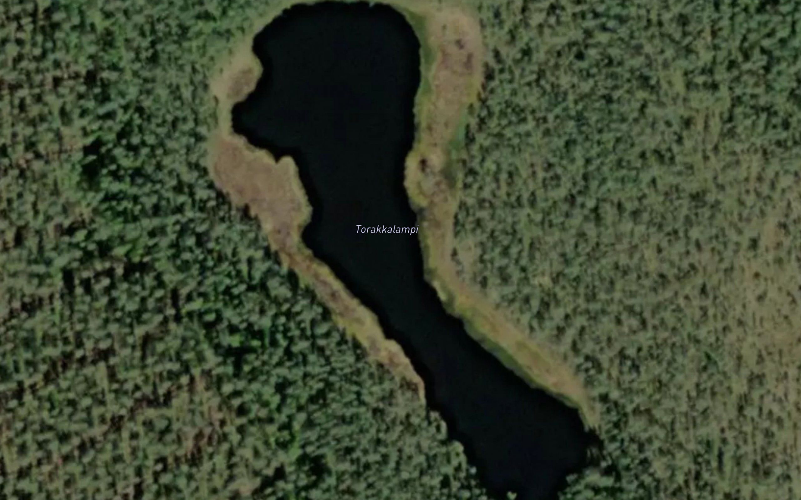 Torakkalampi