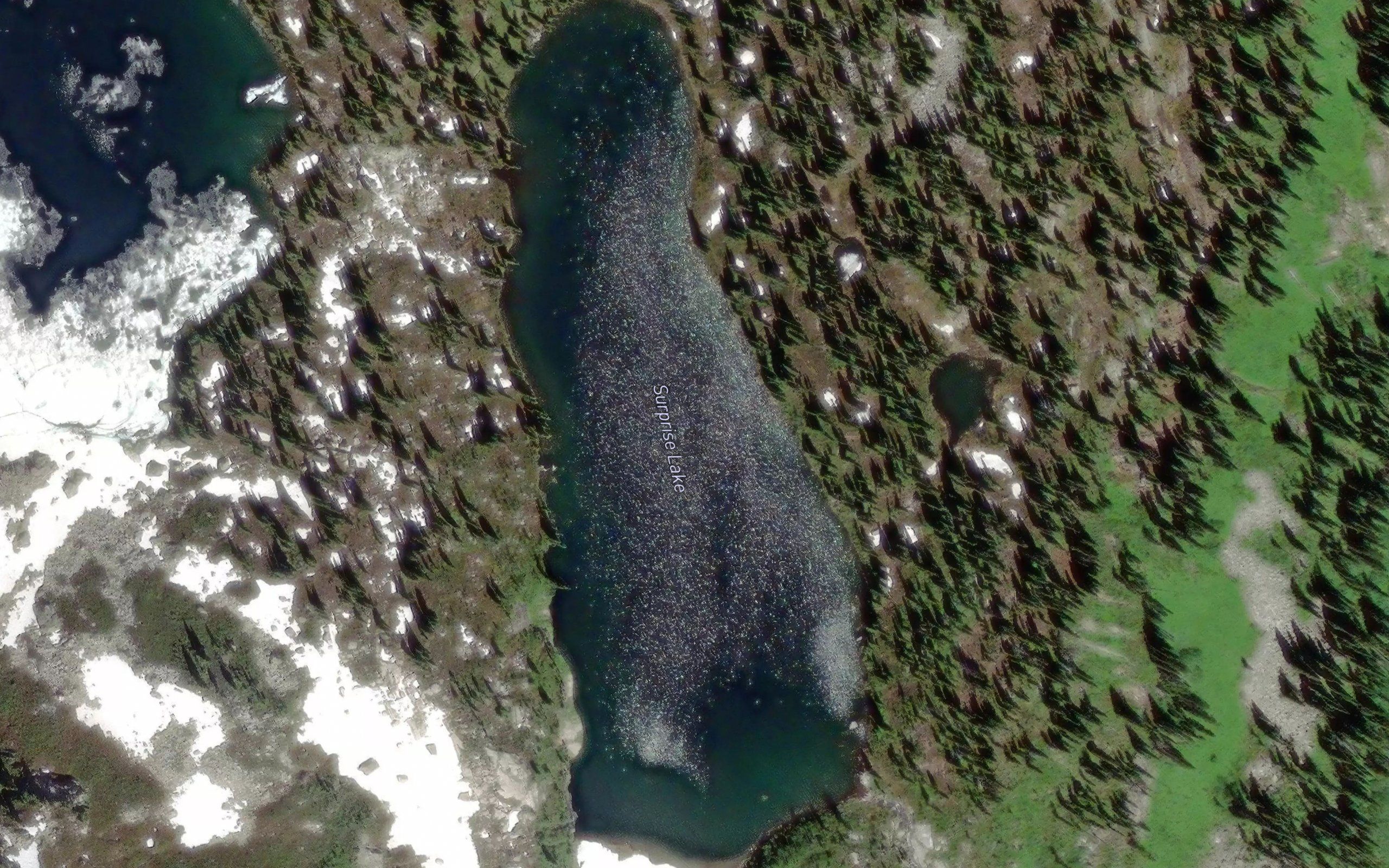 Surprise Lake