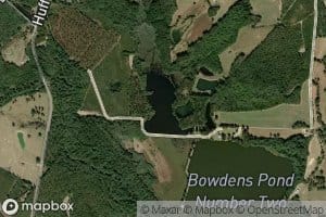 Bowdens Pond Number Two