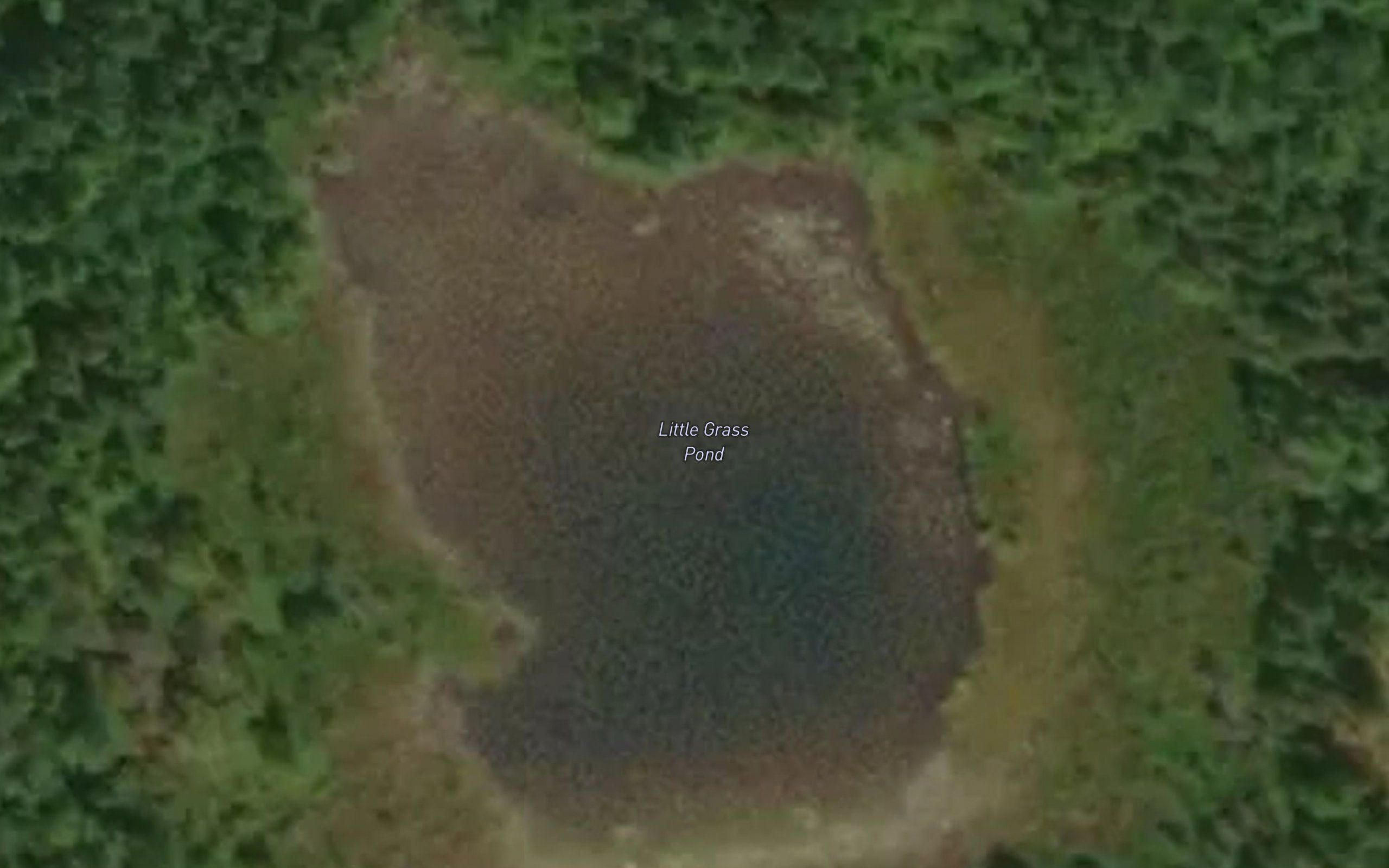 Little Grass Pond