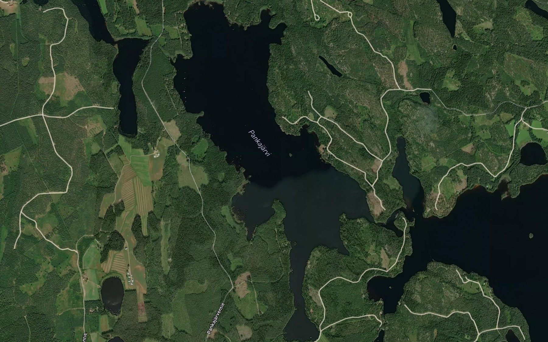 Satellite map of the Tammalahti