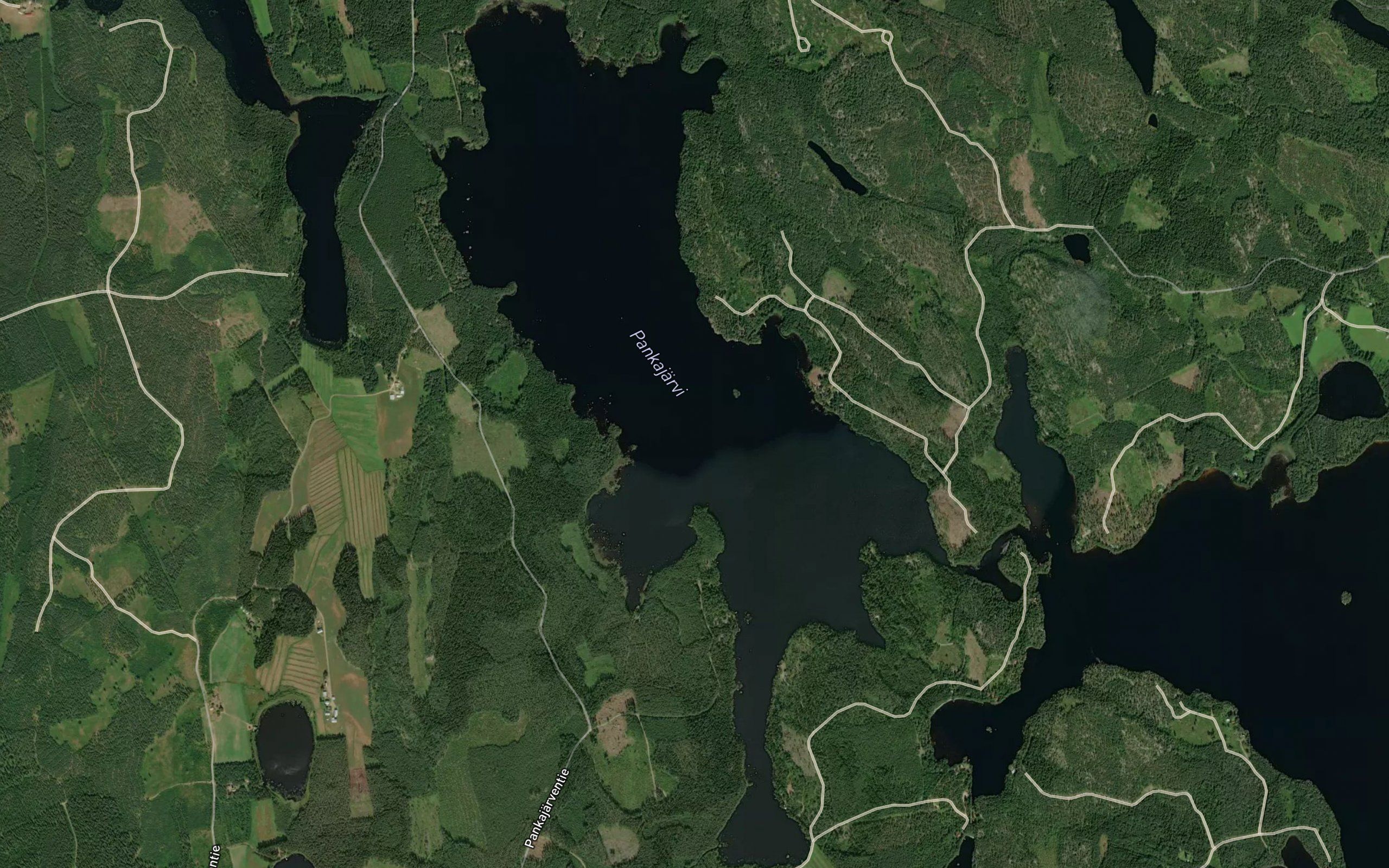 Tammalahti