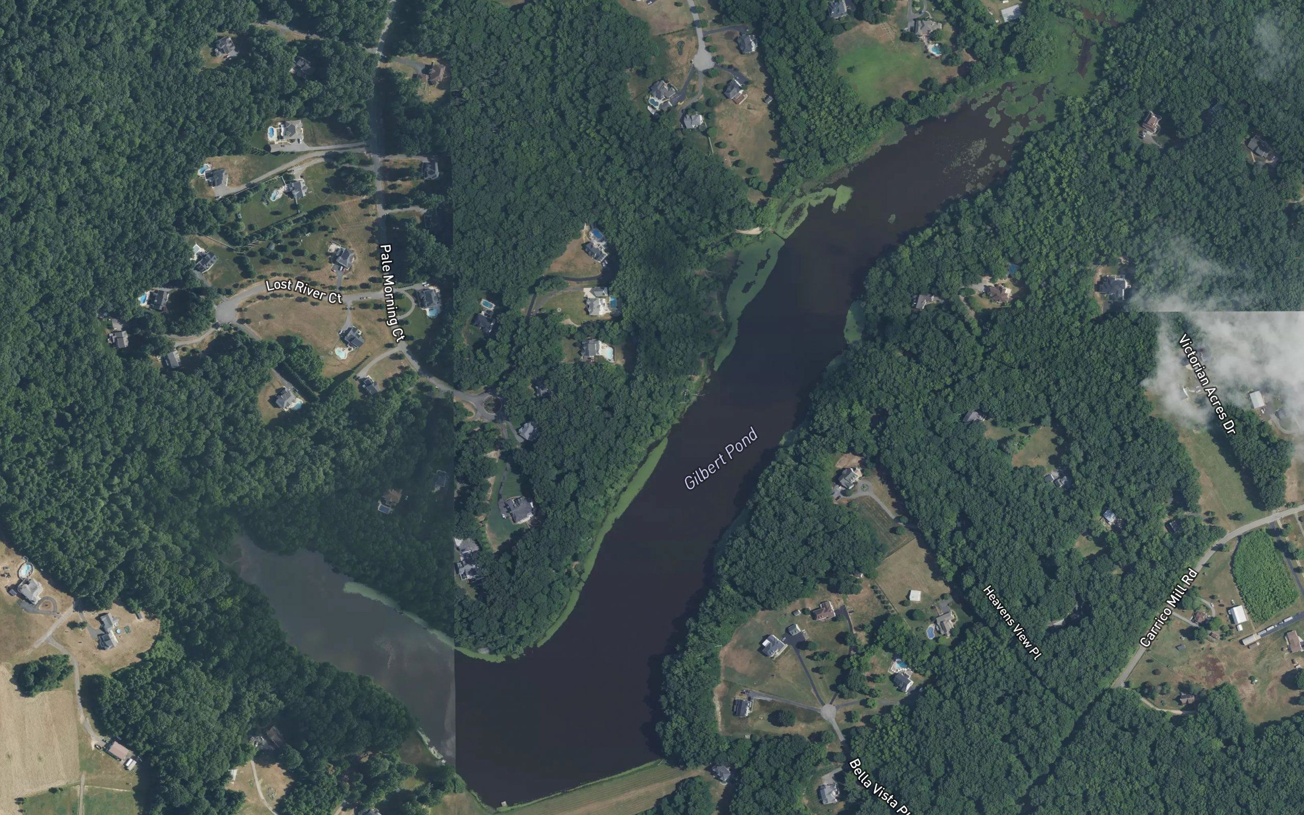 Gilbert Pond