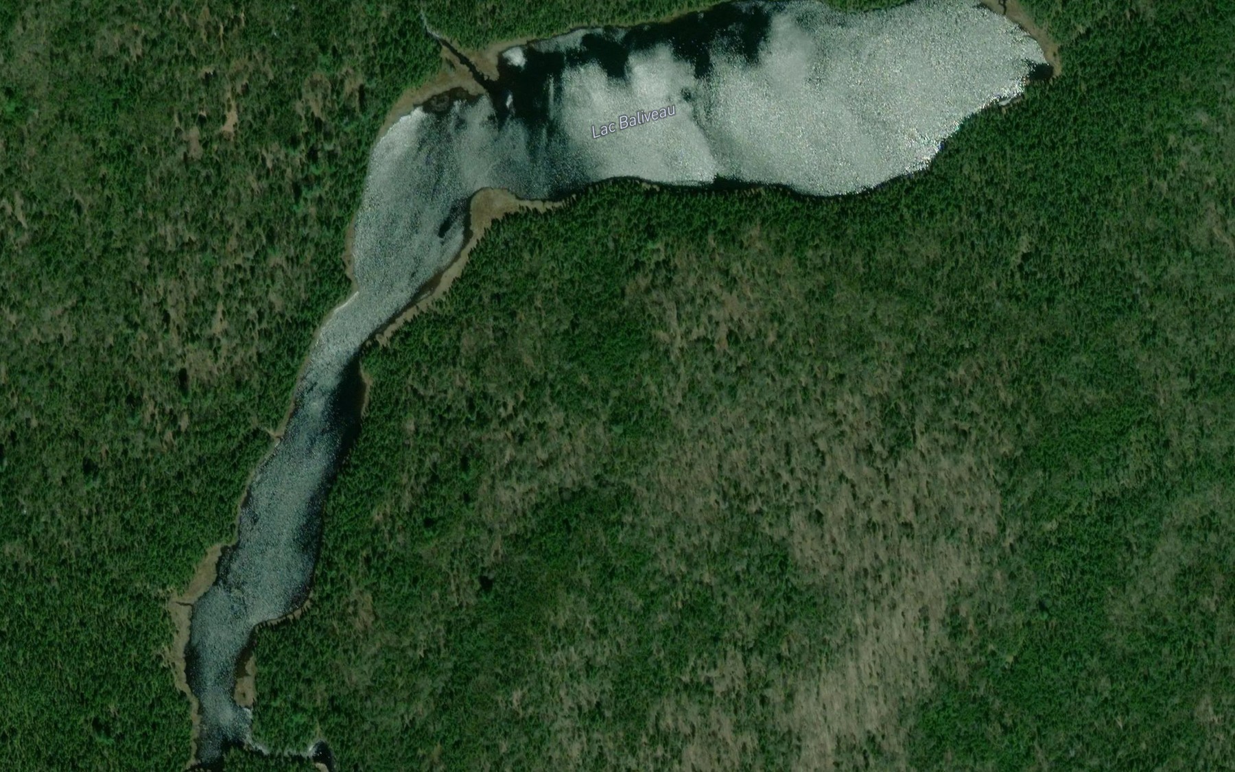 Satellite map of the Lac Baliveau