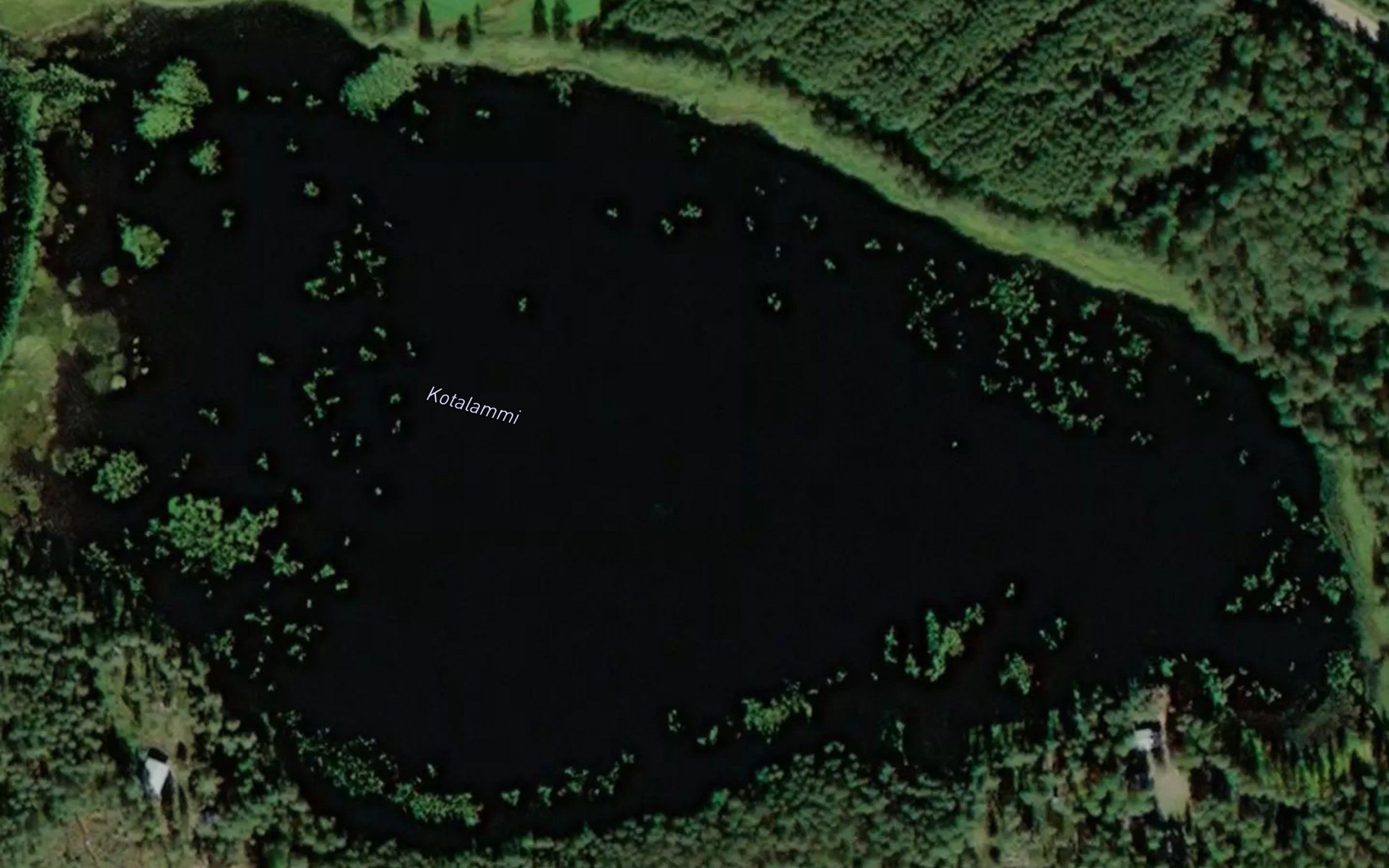 Kotalammi
