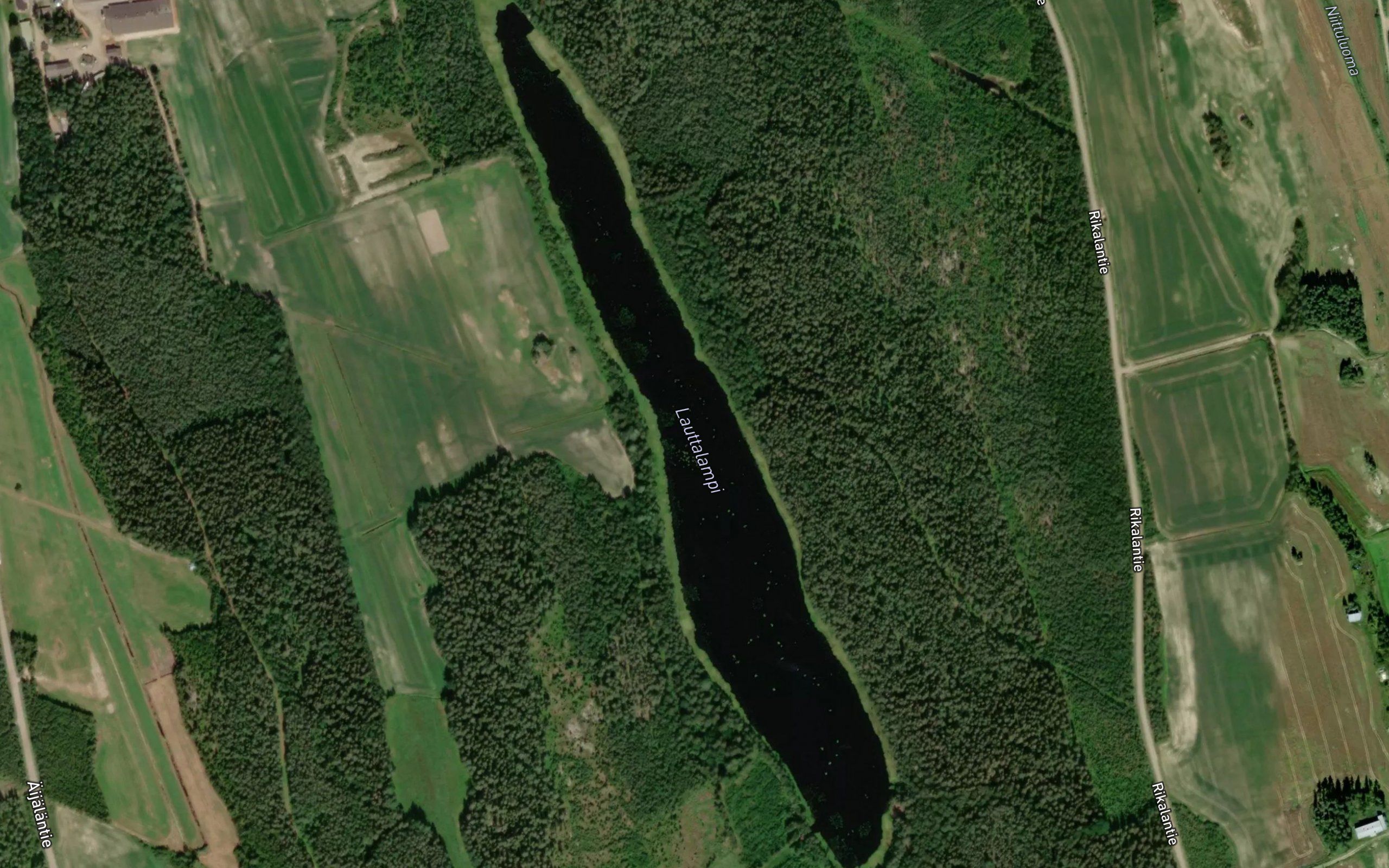 Lauttalampi