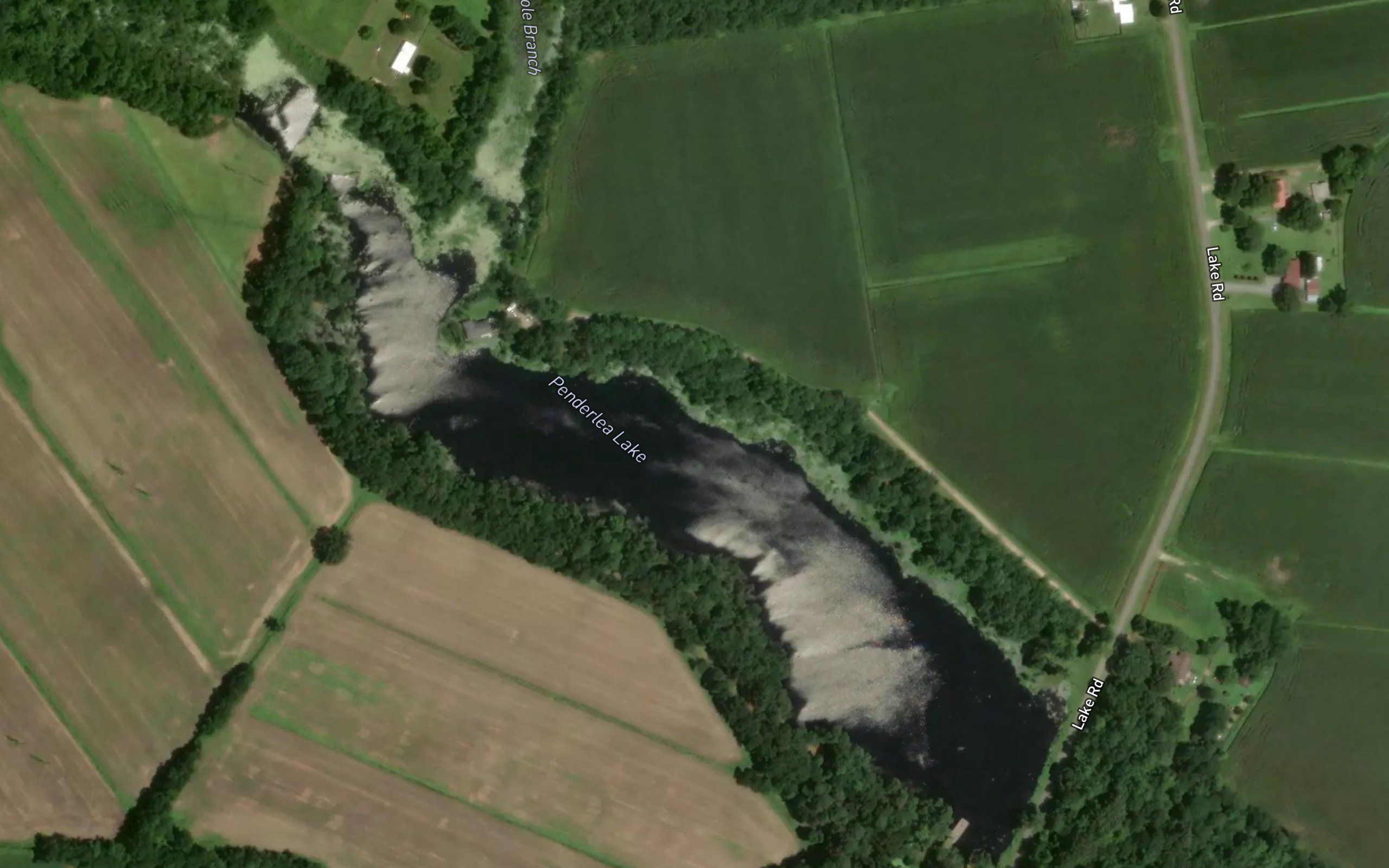 Penderlea Lake