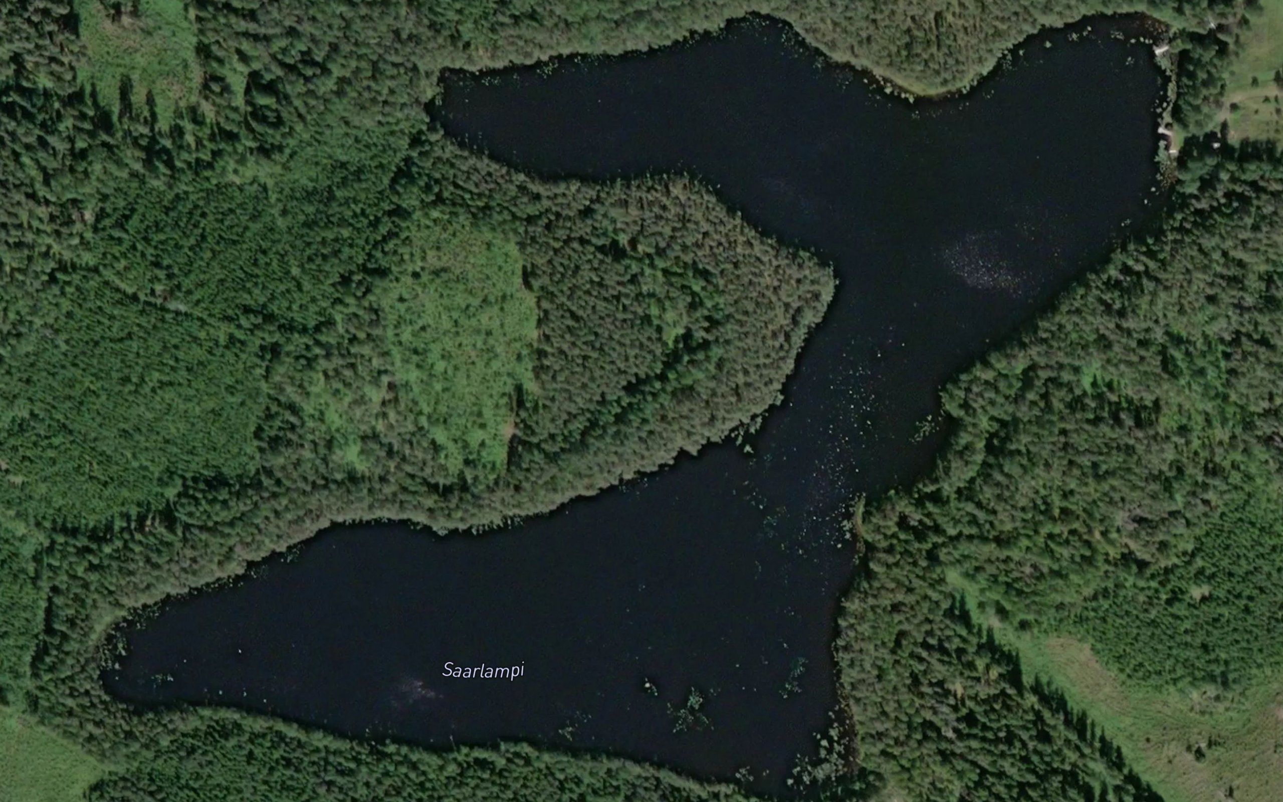 Saarlampi