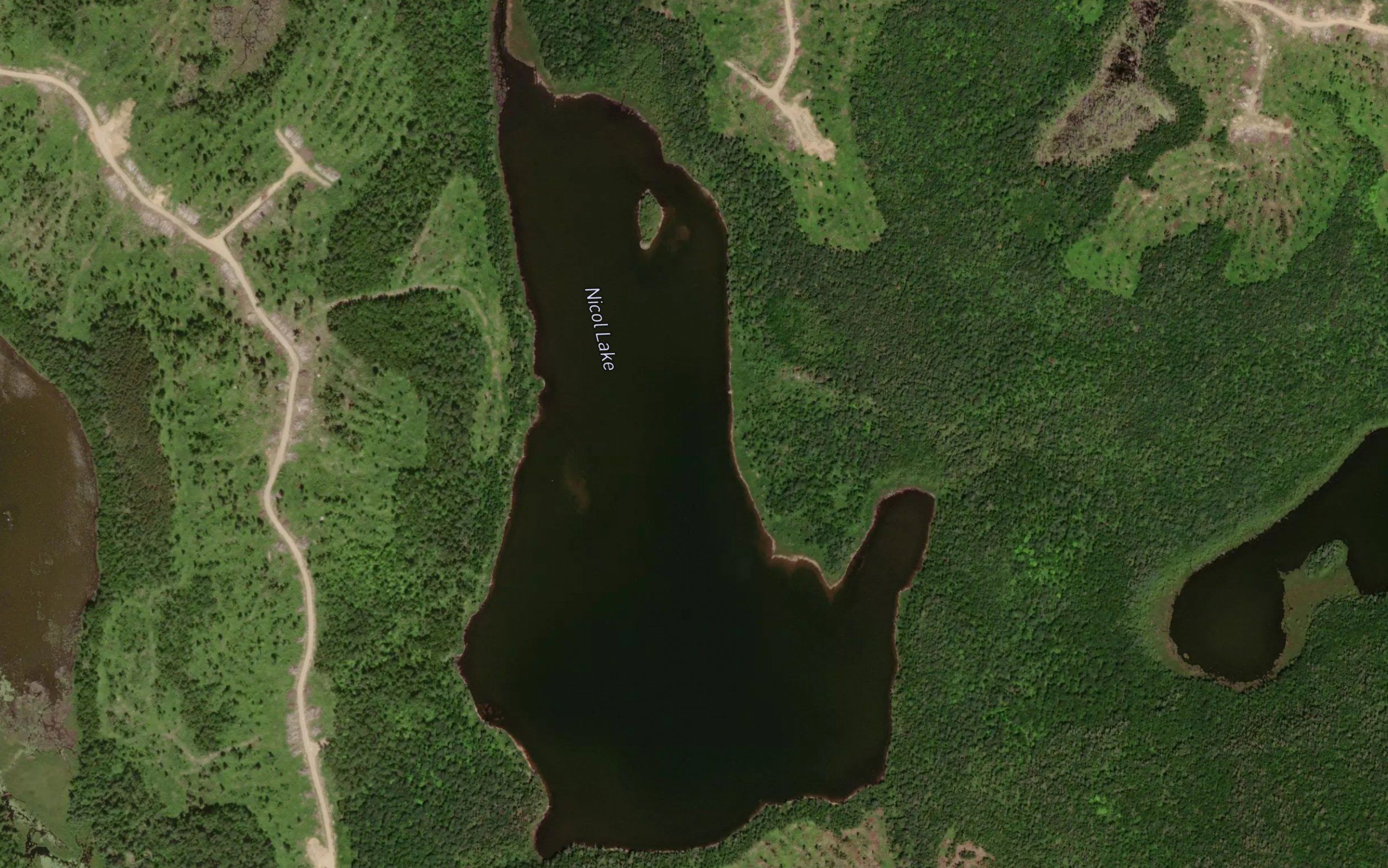 Nicol Lake