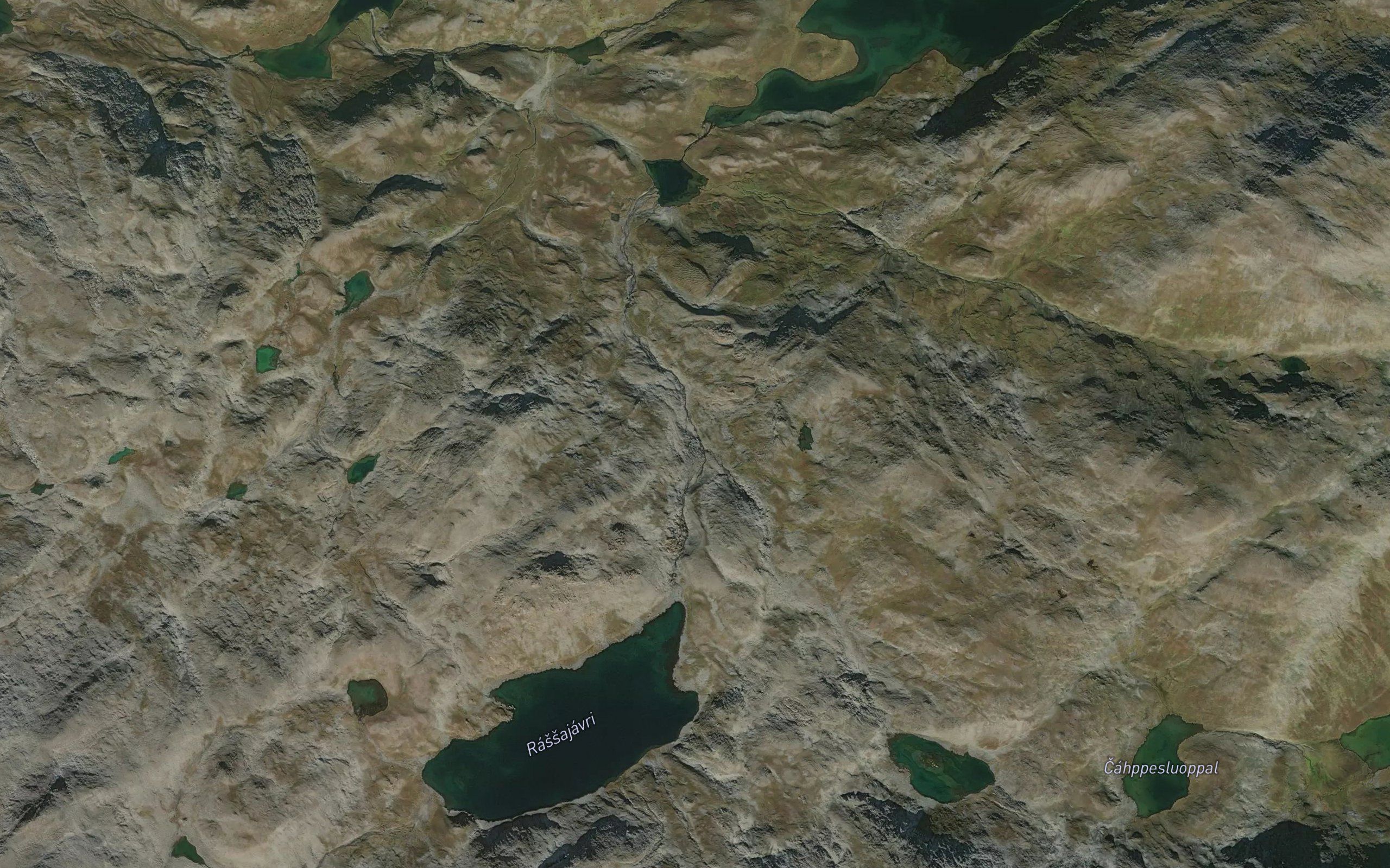 Rassajakka