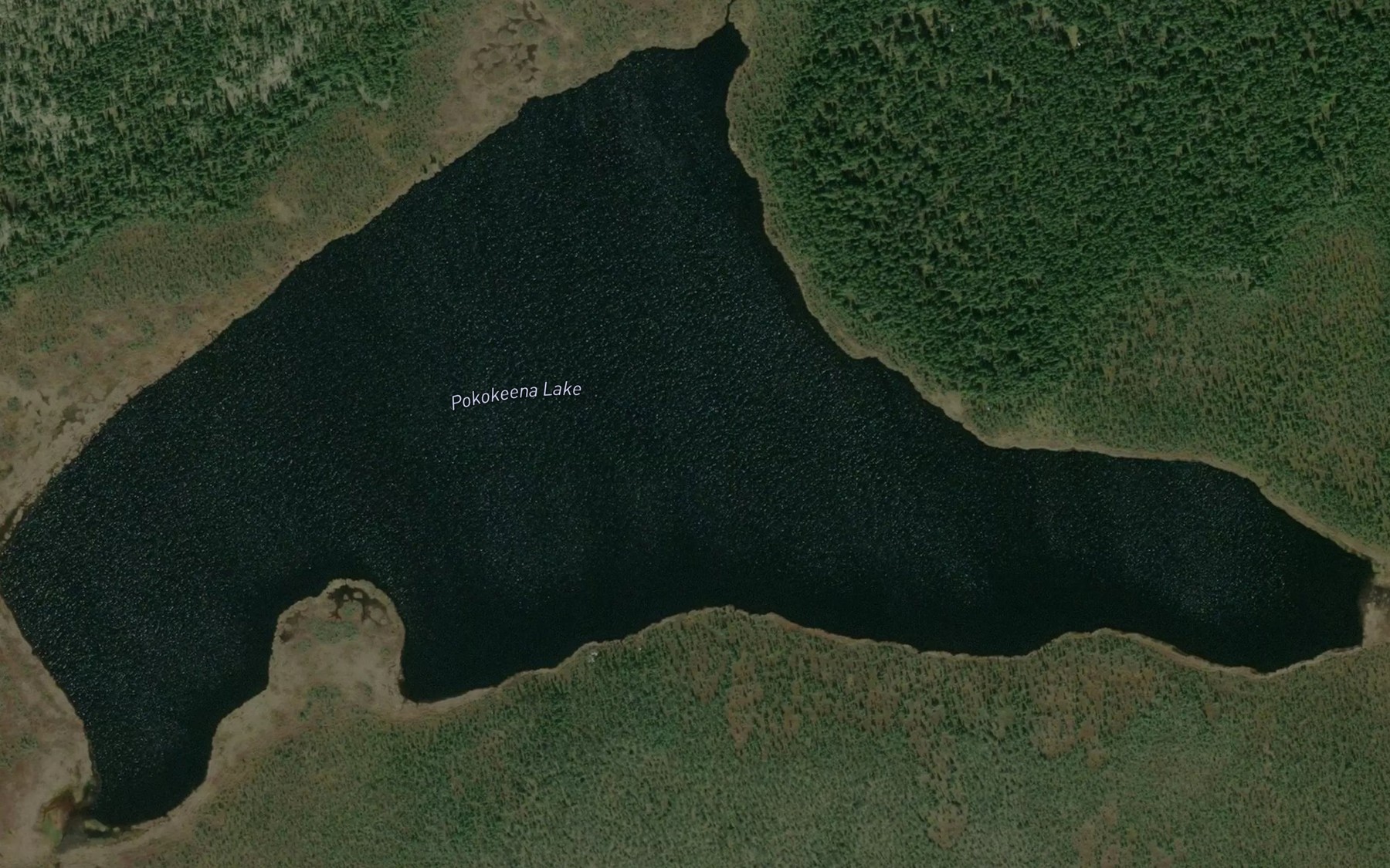 Satellite map of the Pokokeena Lake