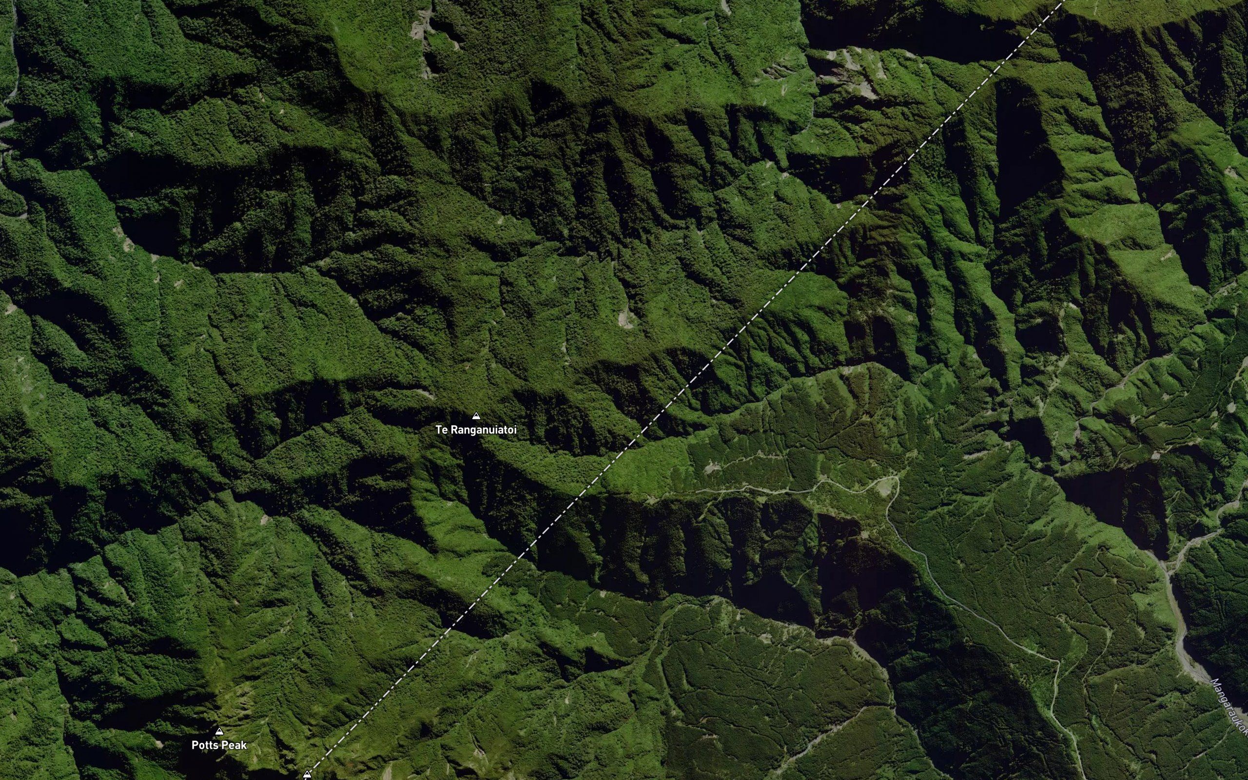 Totara Stream
